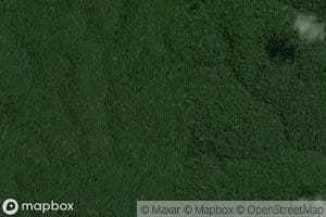 Igarape do Pederneira