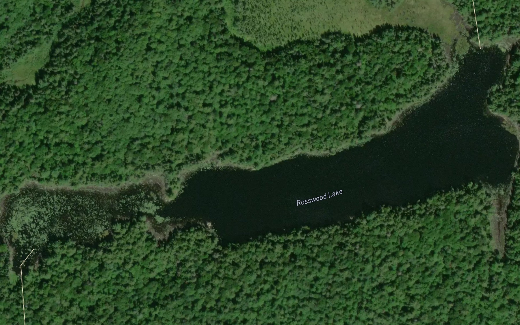 Satellite map of the Rosswood Lake