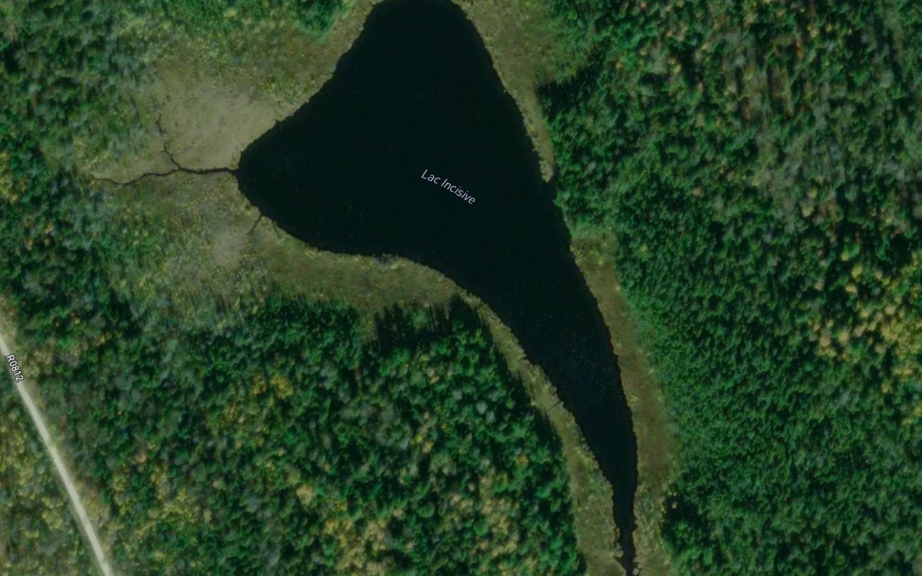 Satellite map of the Lac Incisive