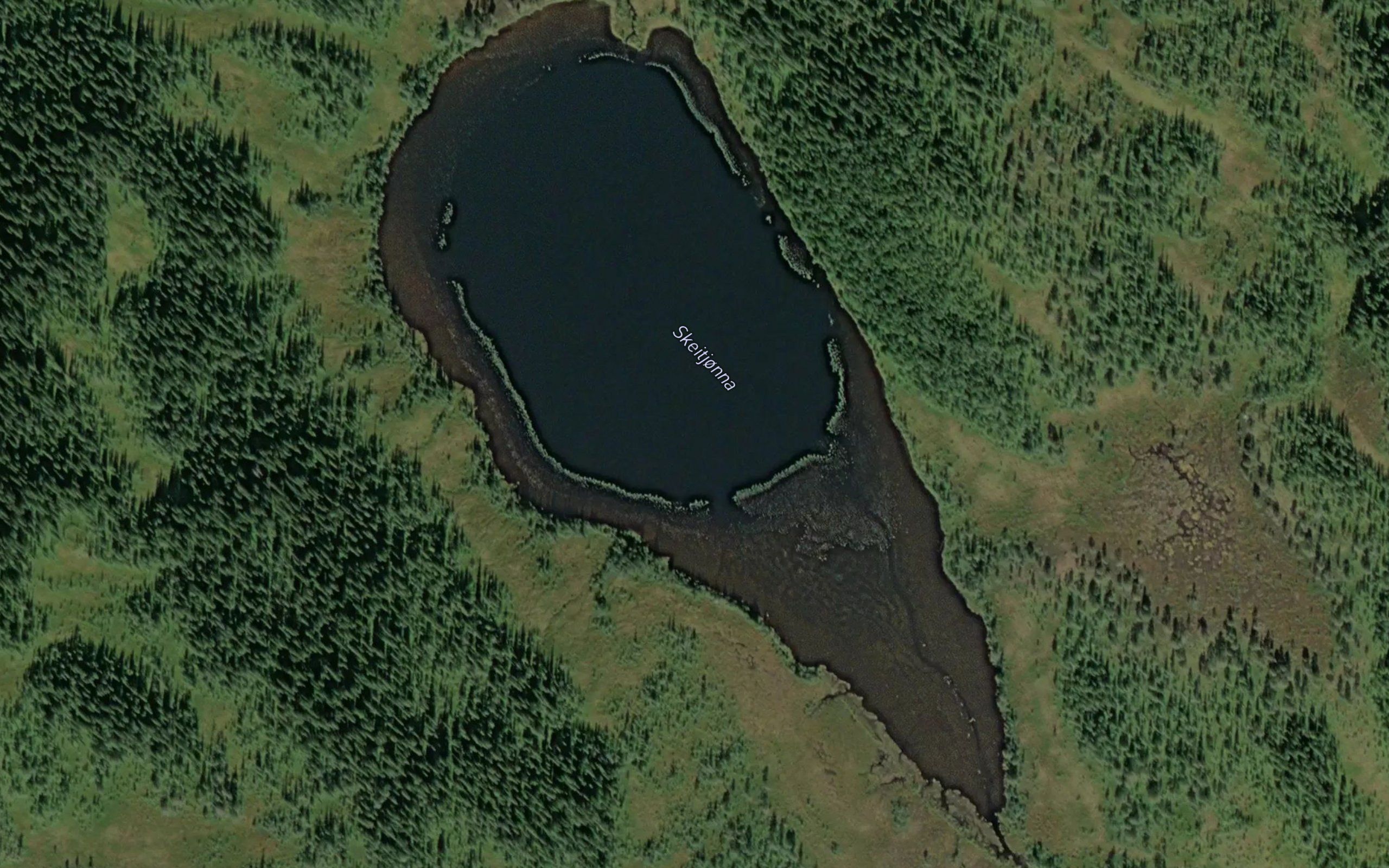 Skeitjorna