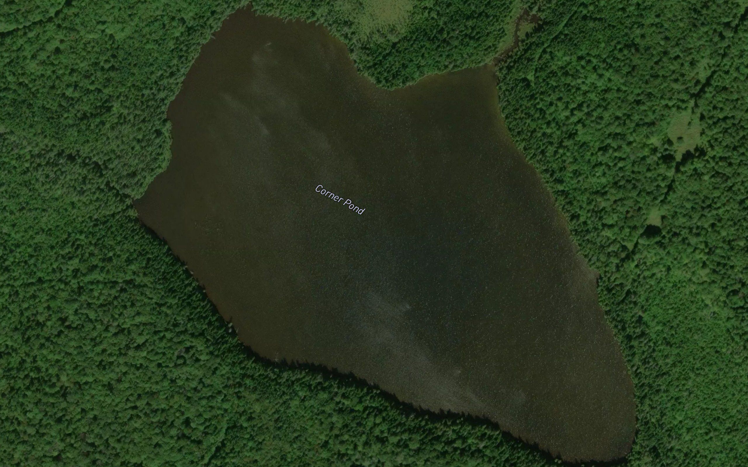 Corner Pond