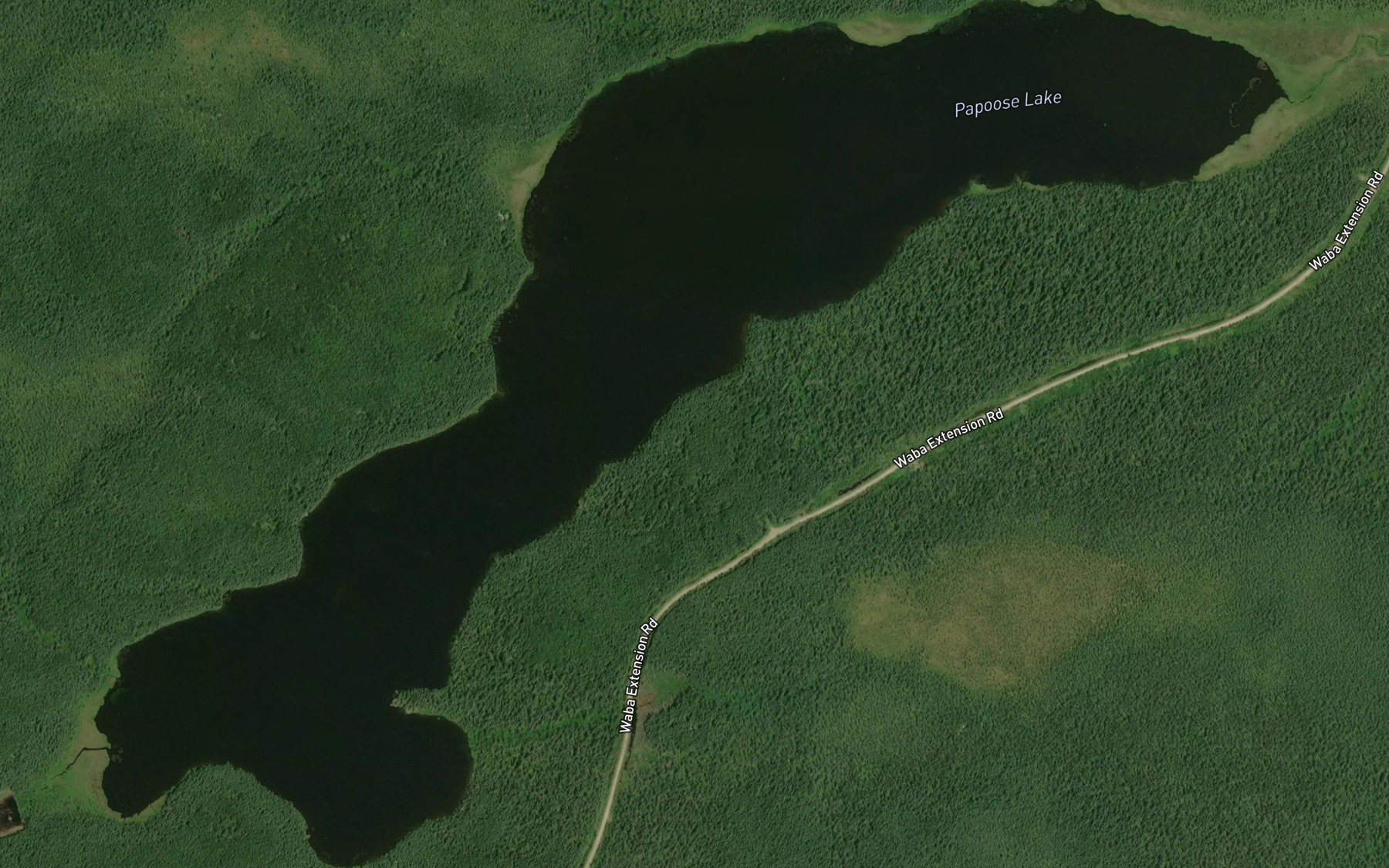 Satellite map of the Papoose Lake