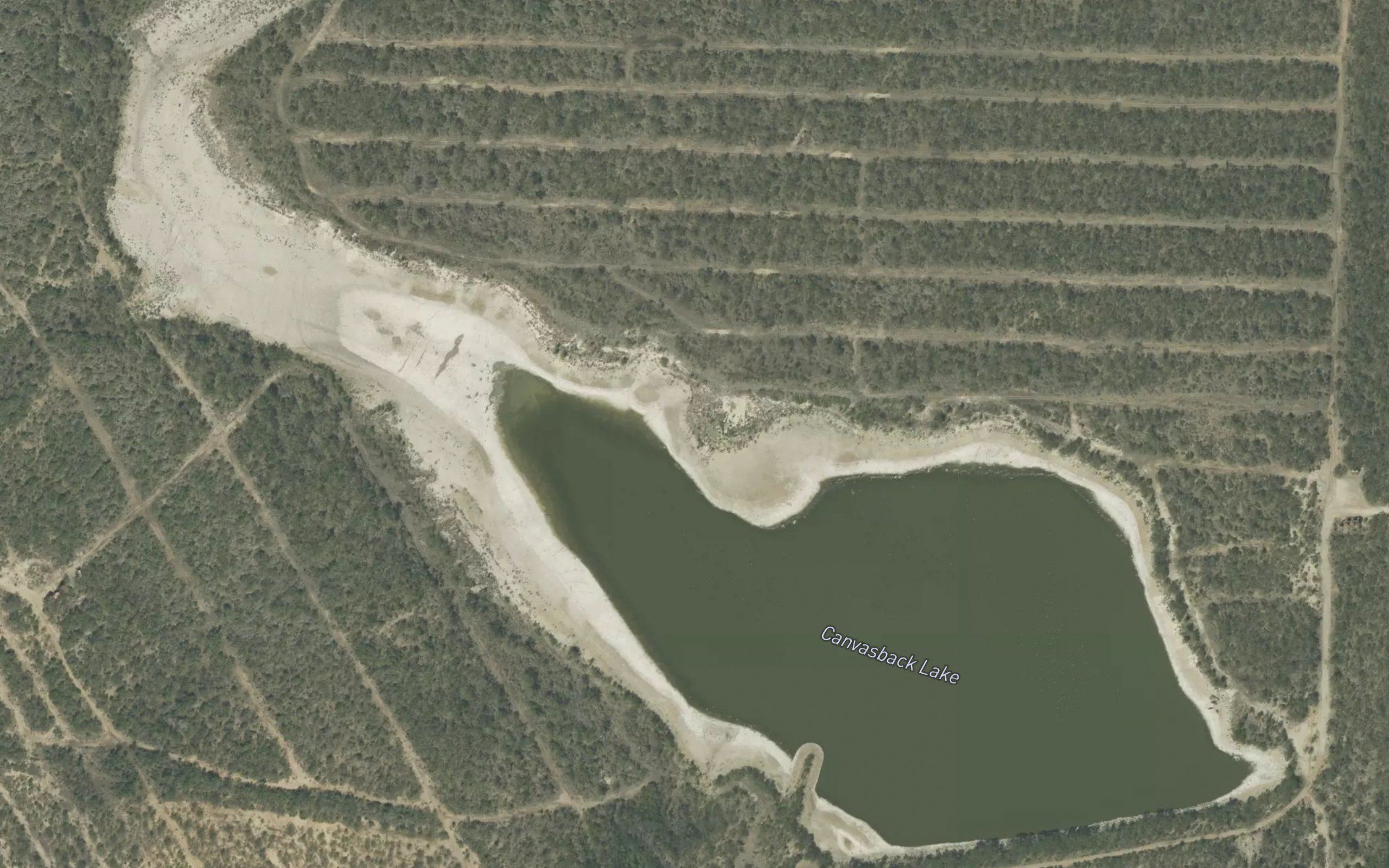 Canvasback Lake