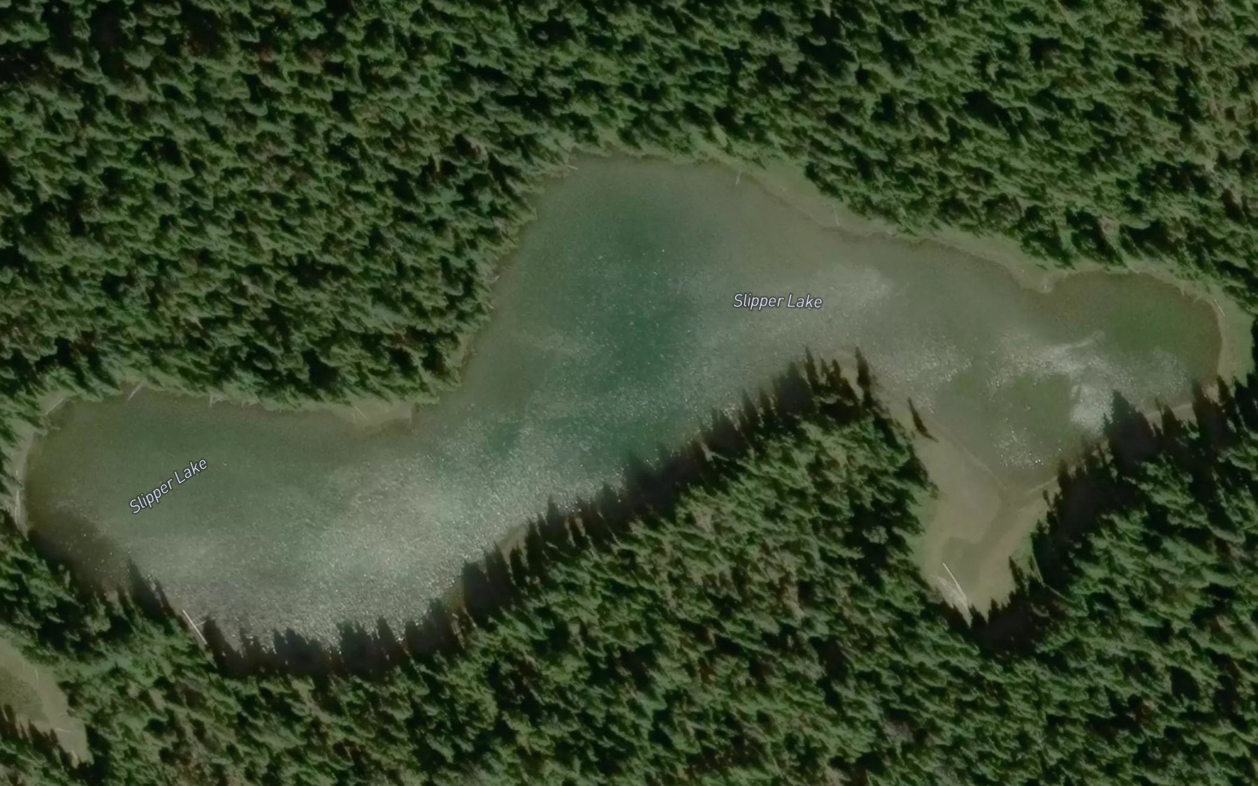 Satellite map of the Slipper Lake