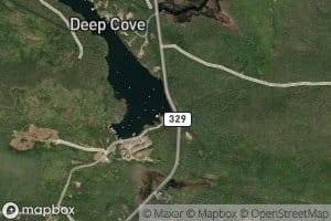 Bear Cove