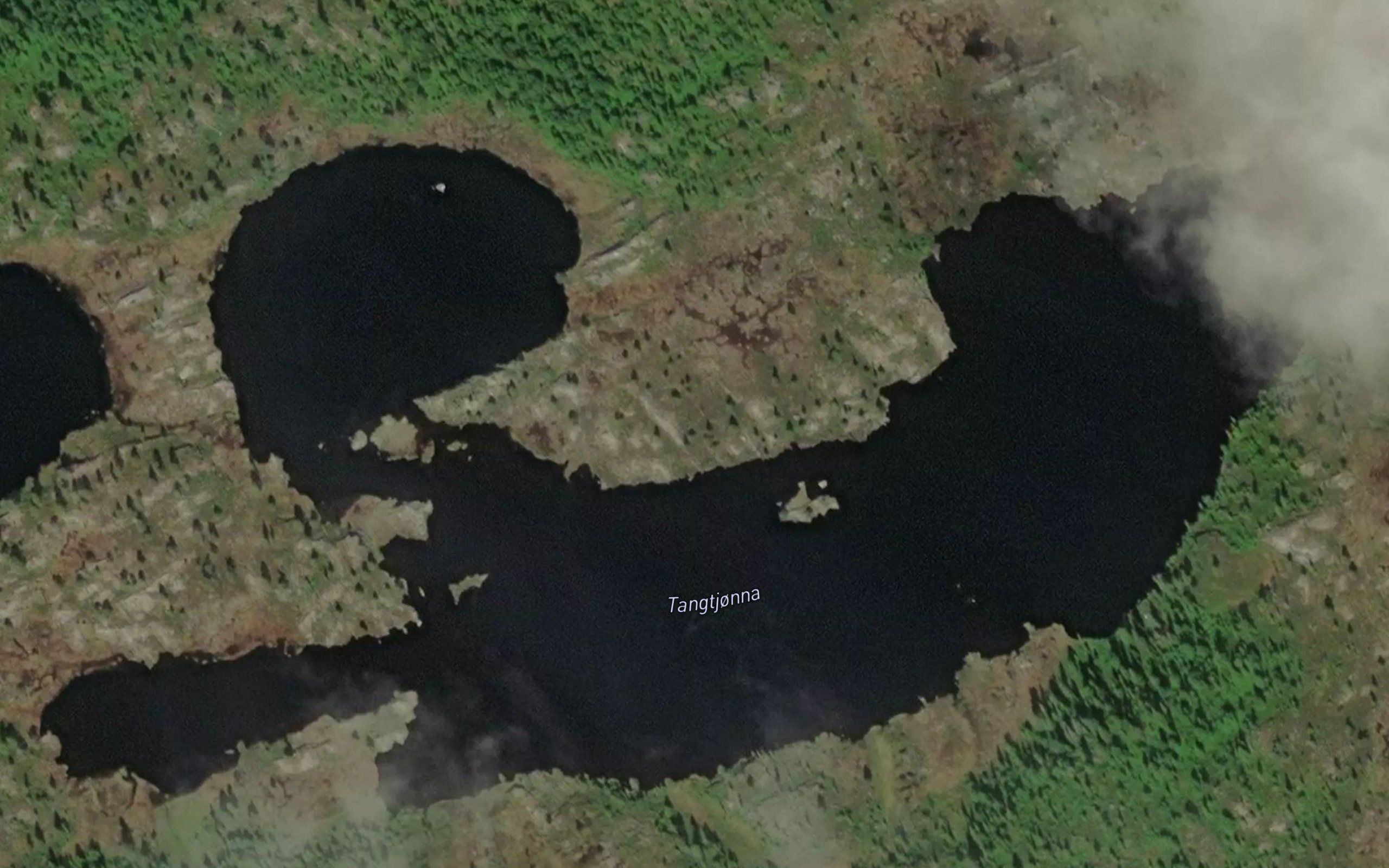 Tangtjonna