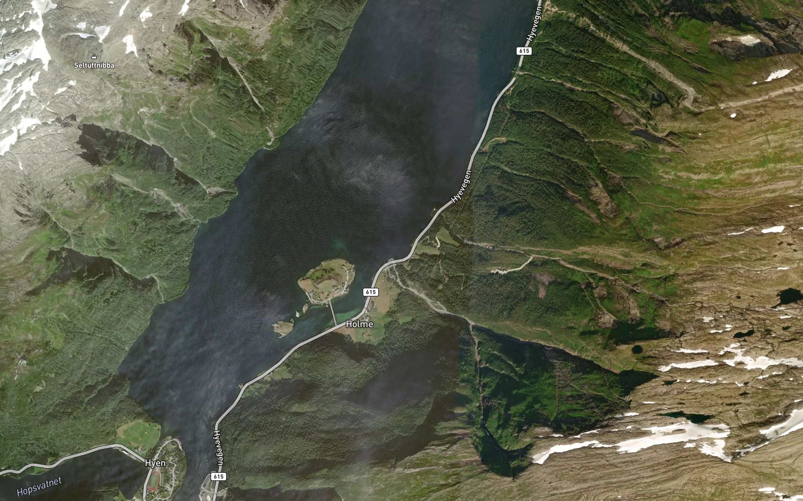 Gjaervika