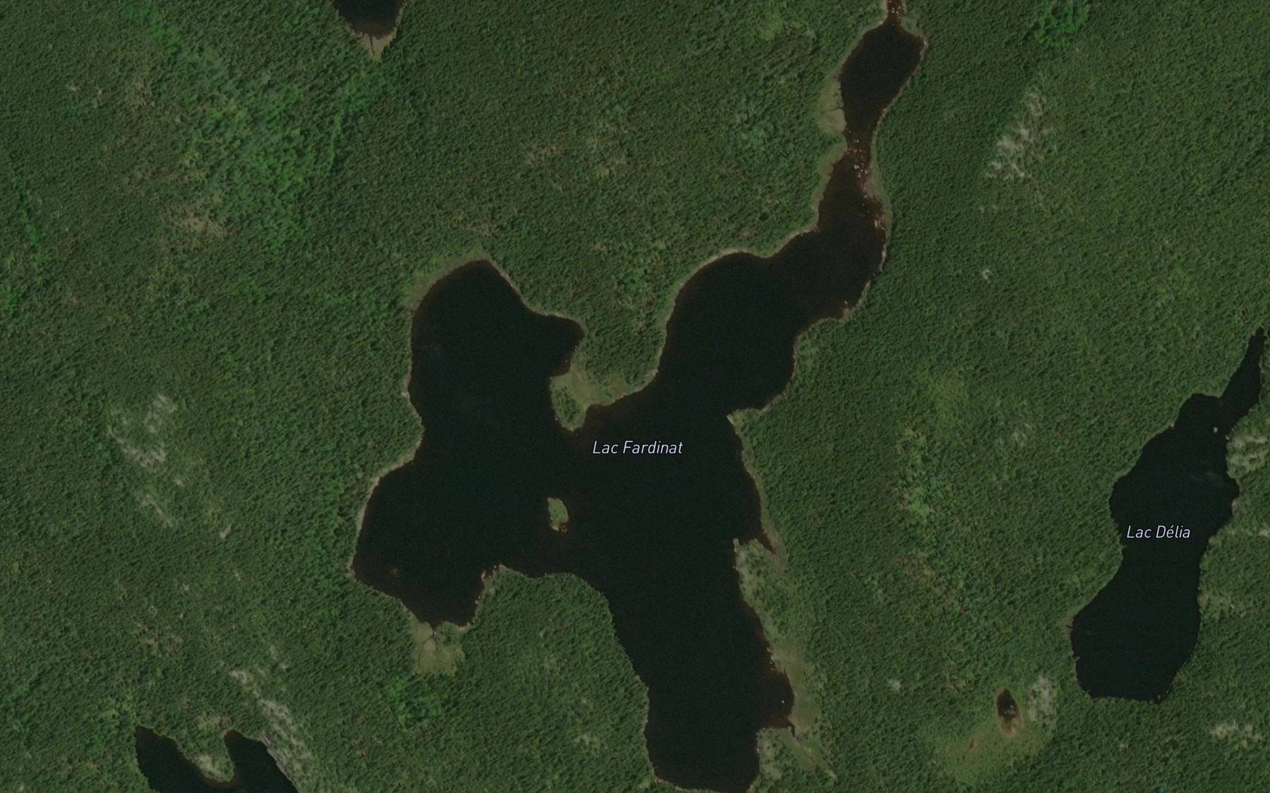 Satellite map of the Lac Fardinat