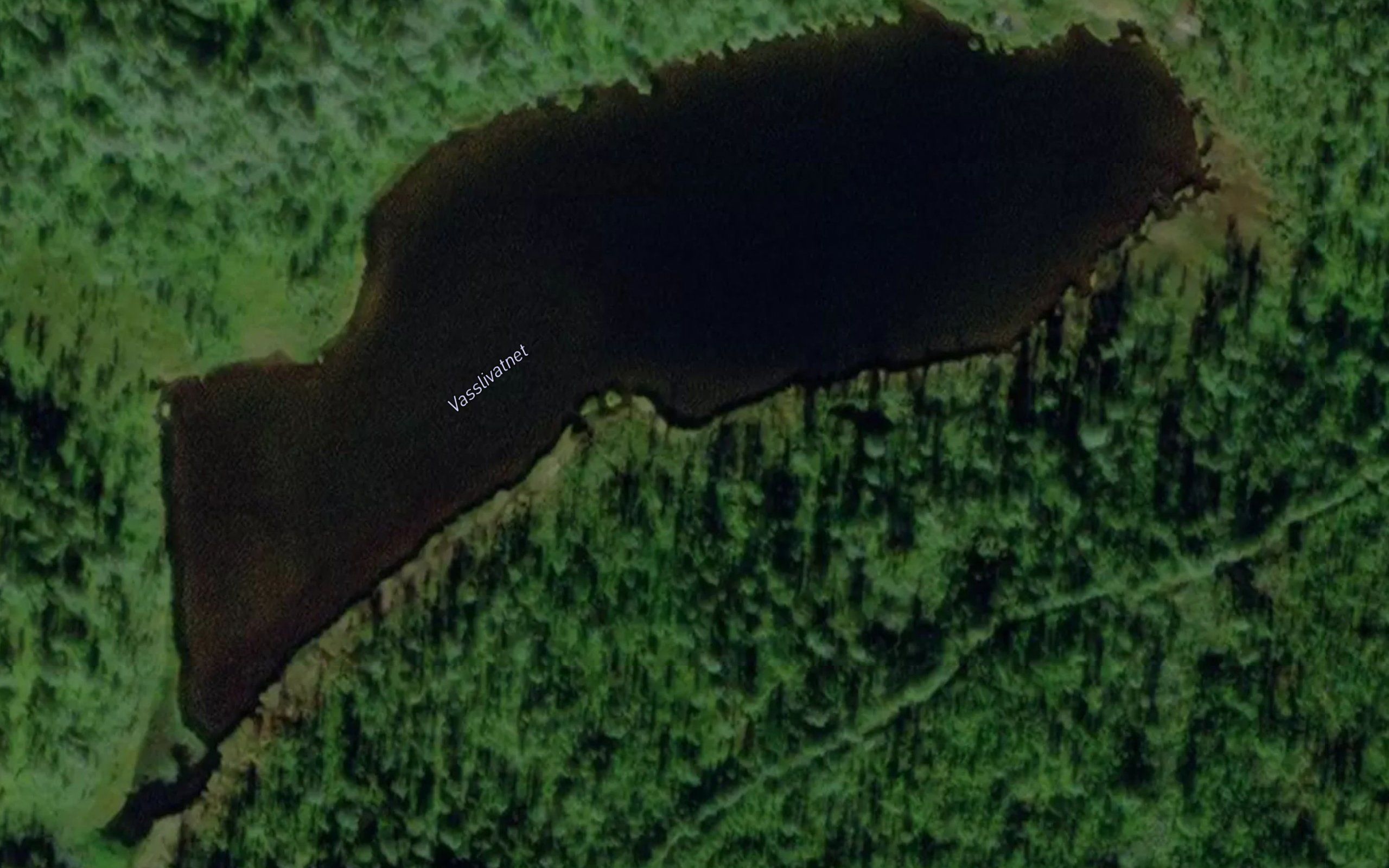 Vasslivatnet