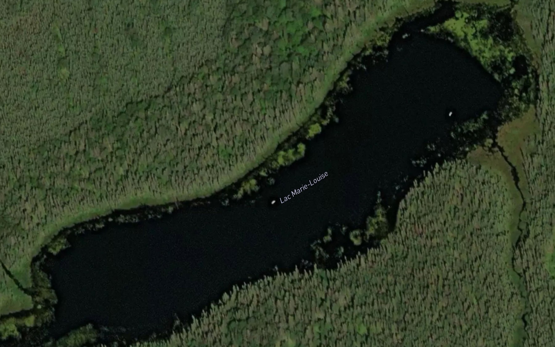 Satellite map of the Lac Marie-Louise