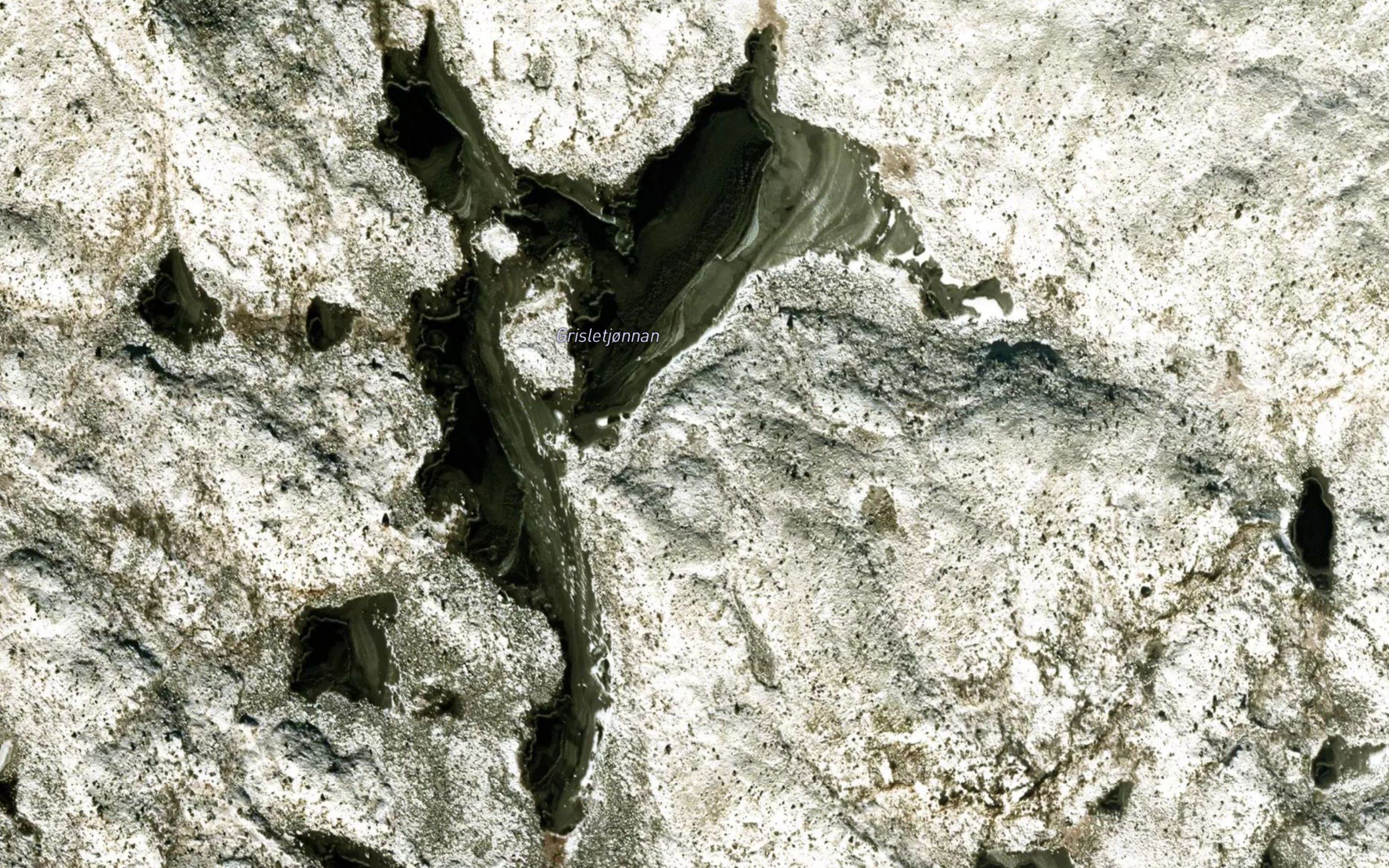 Grisletjornan