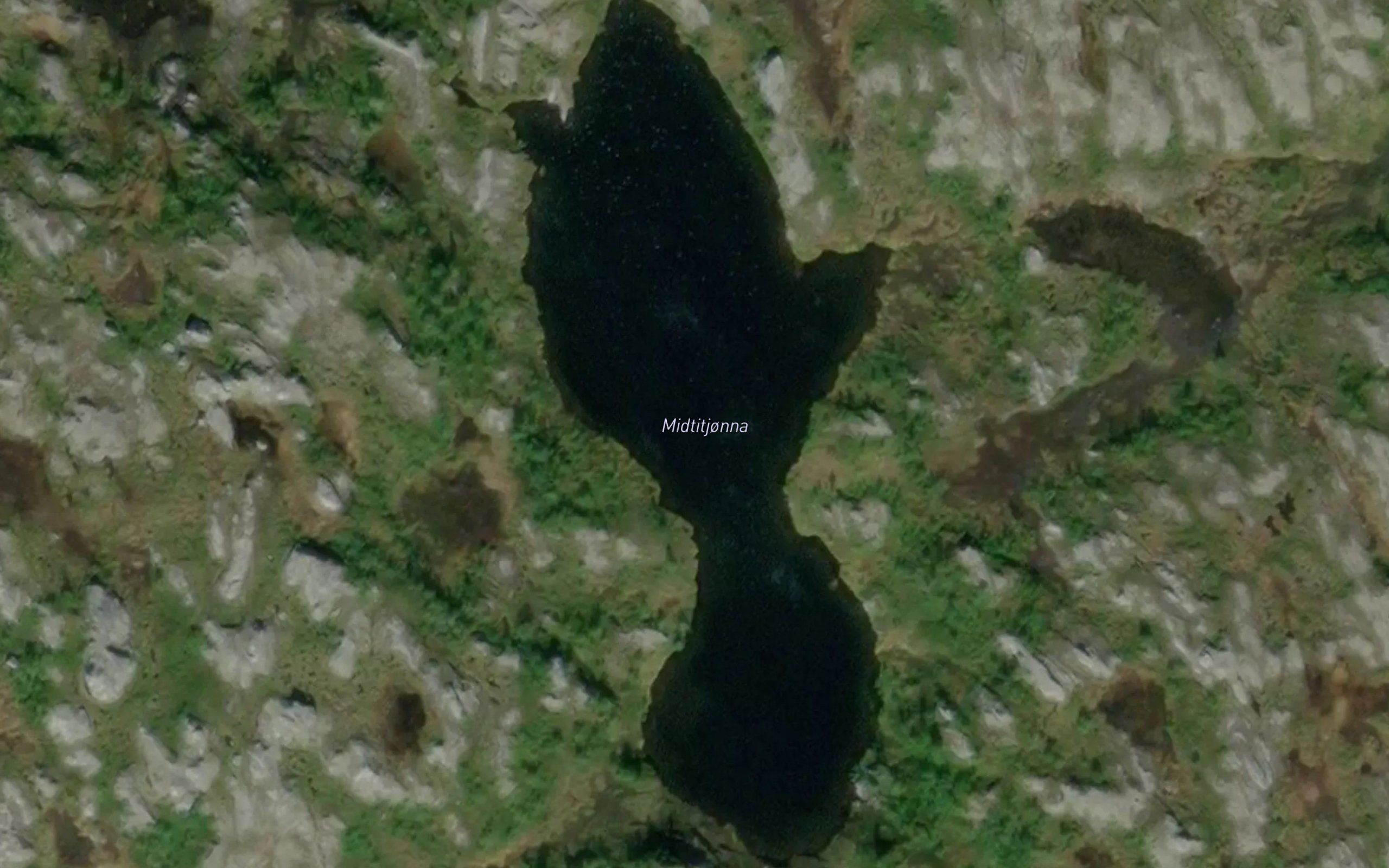 Midtitjorna