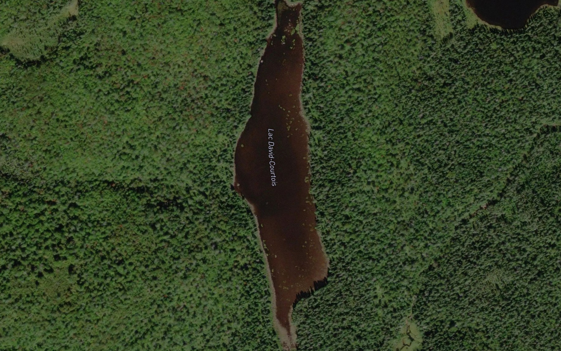 Satellite map of the Lac David-Courtois