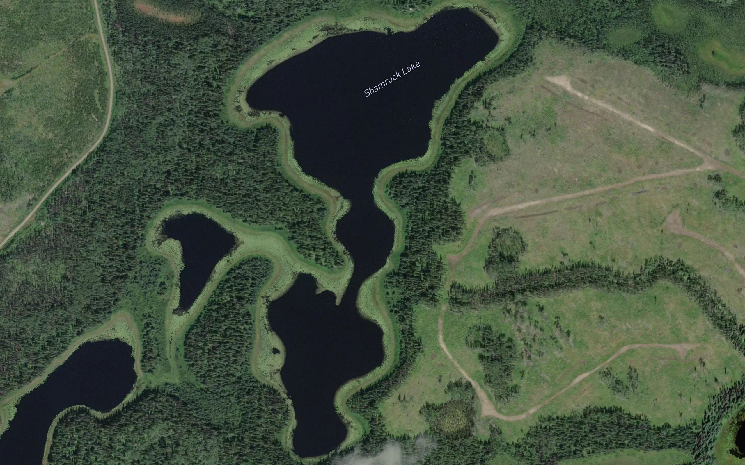 Shamrock Lake