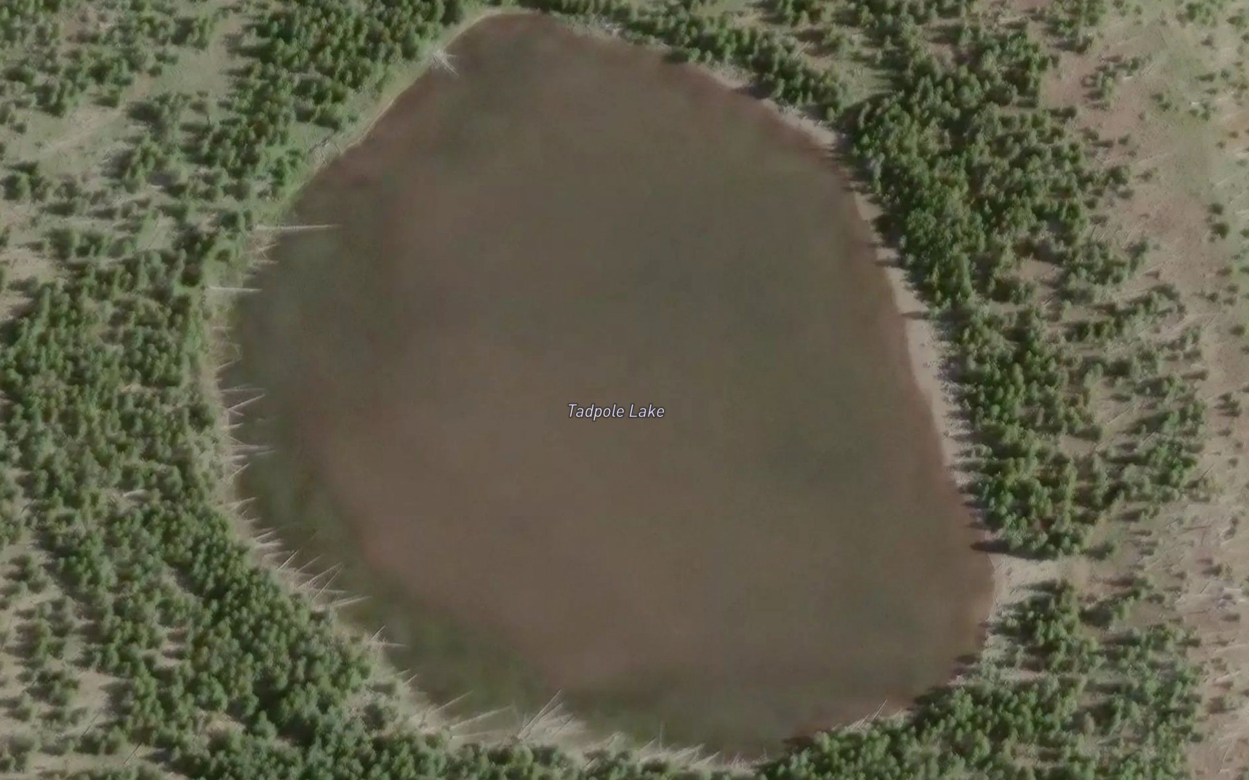 Tadpole Lake