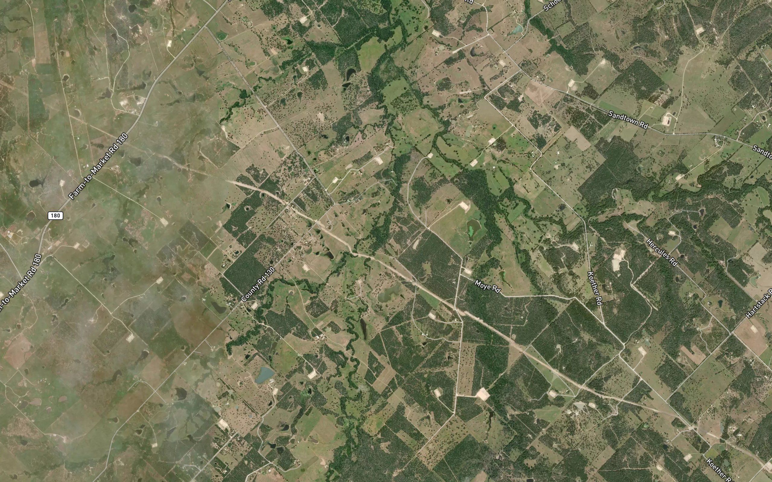 Alligator Creek
