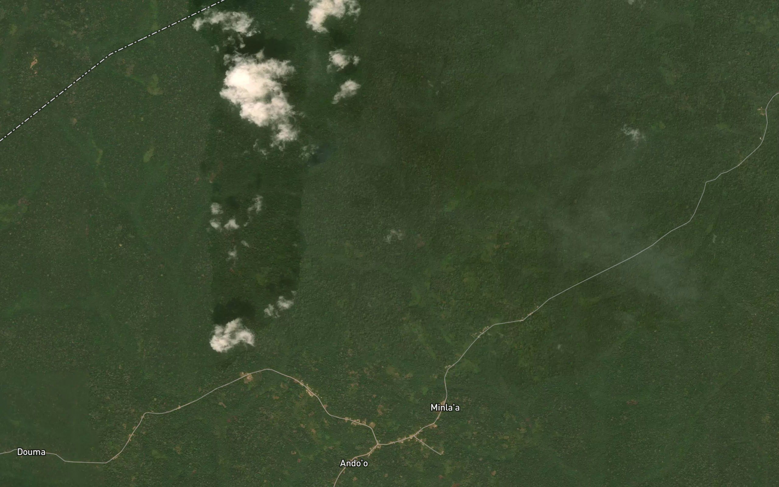 Bisoua
