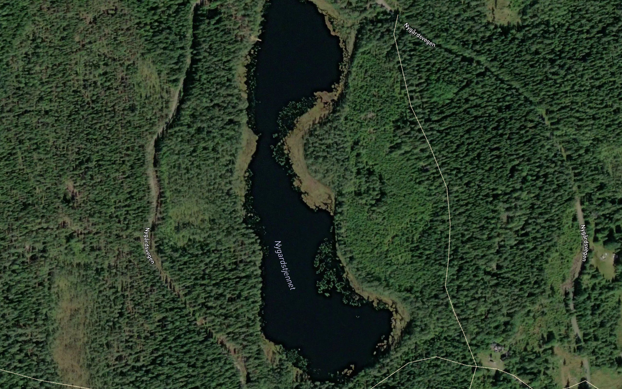 Nygardstjernet