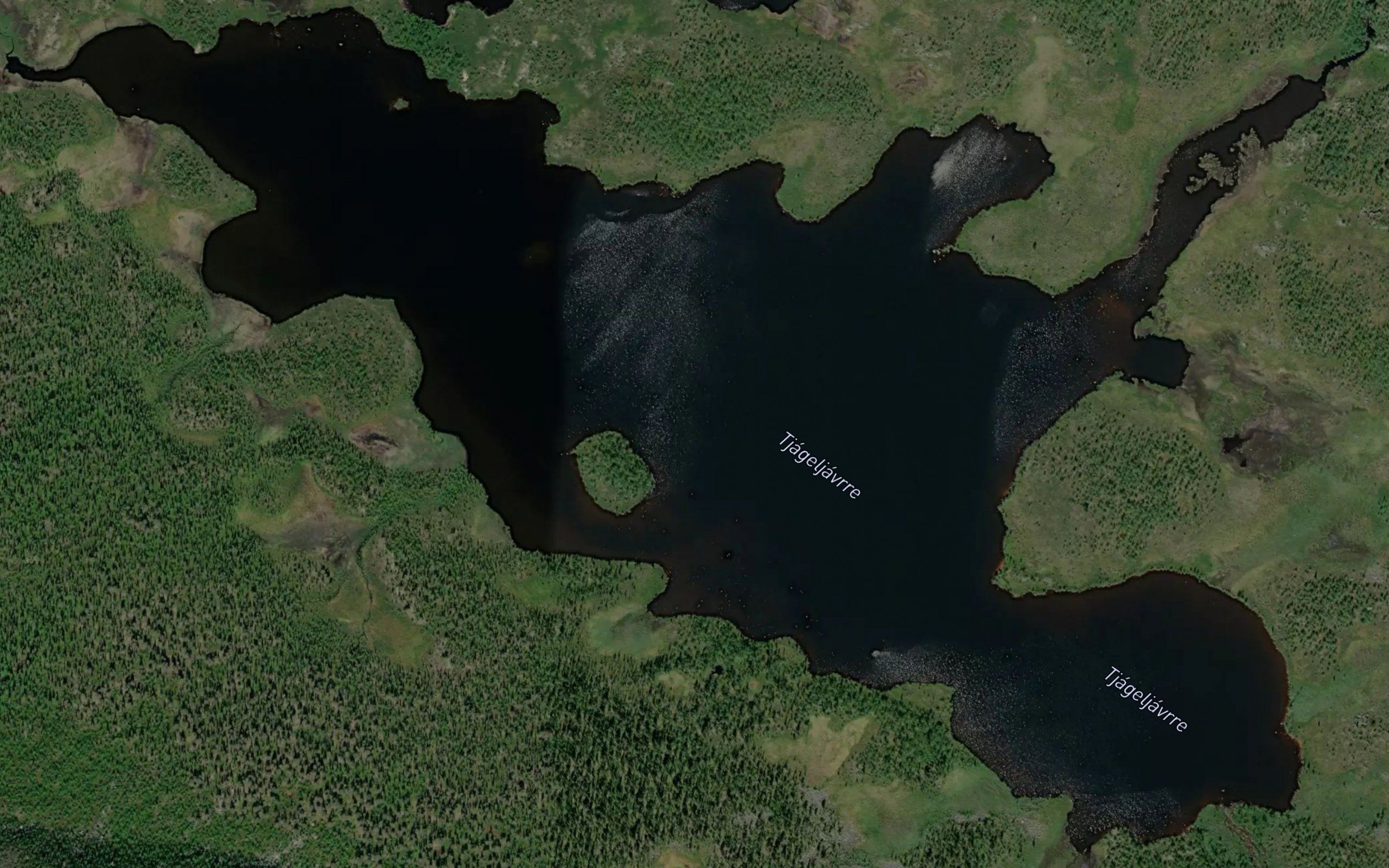 Tjakeljaure