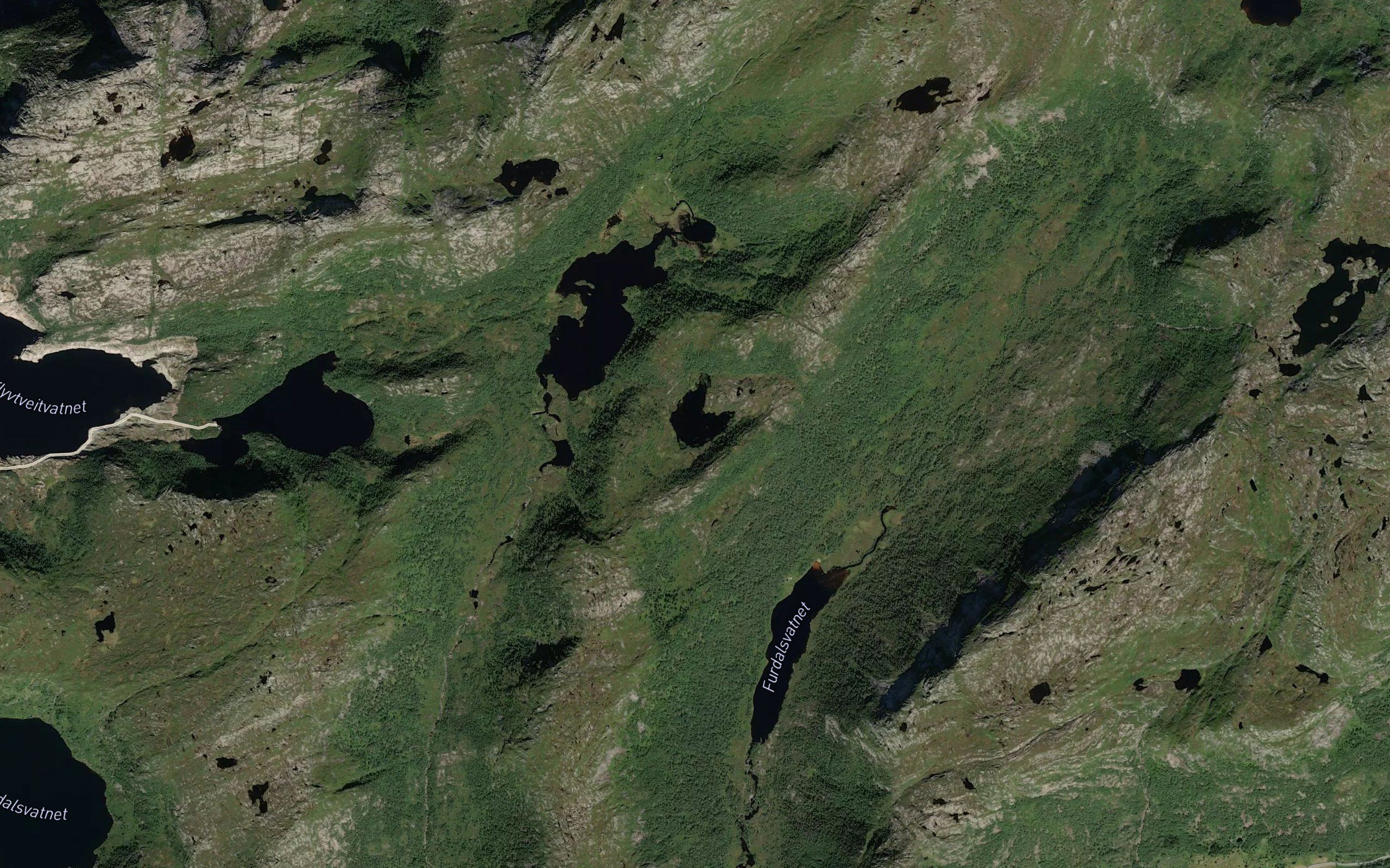 Leinetjorna