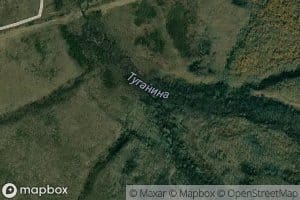 Levaya Tuganina