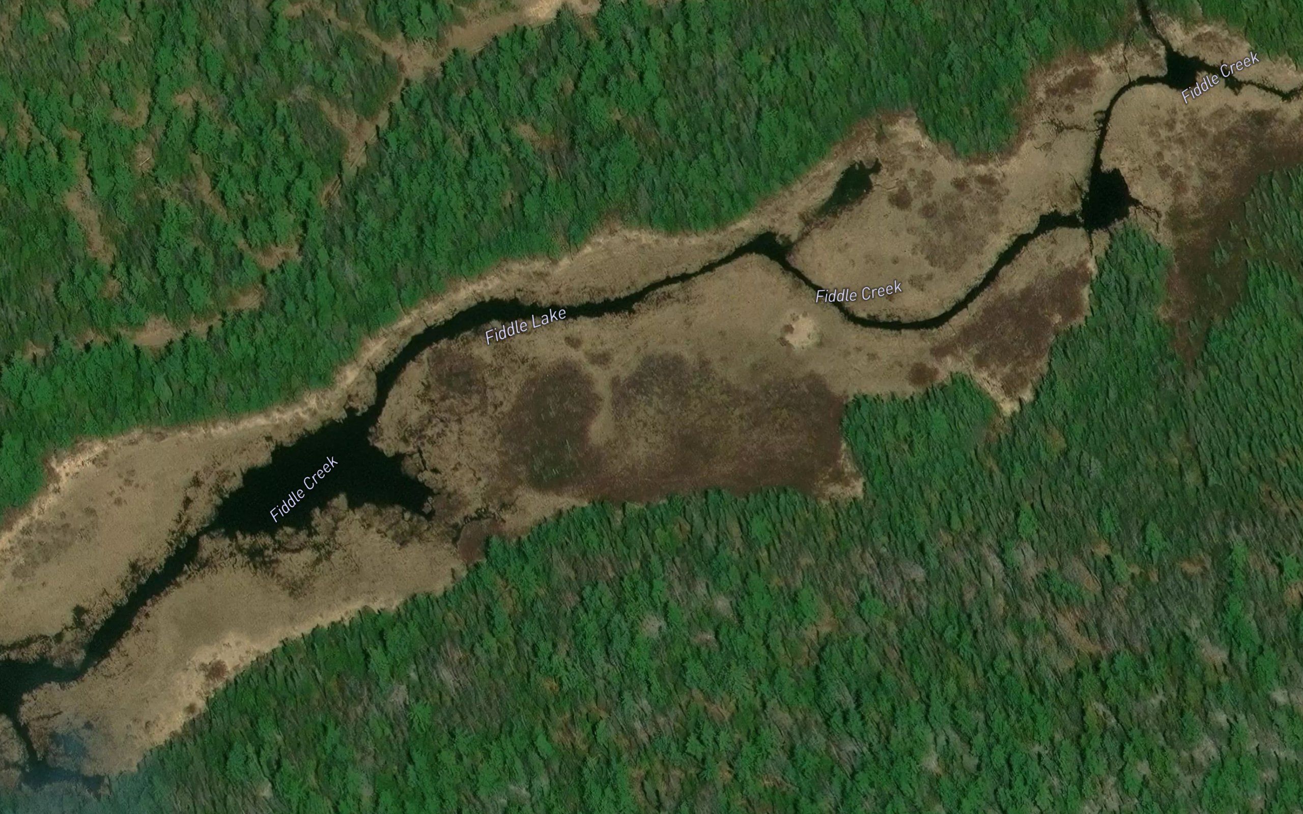 Fiddle Lake