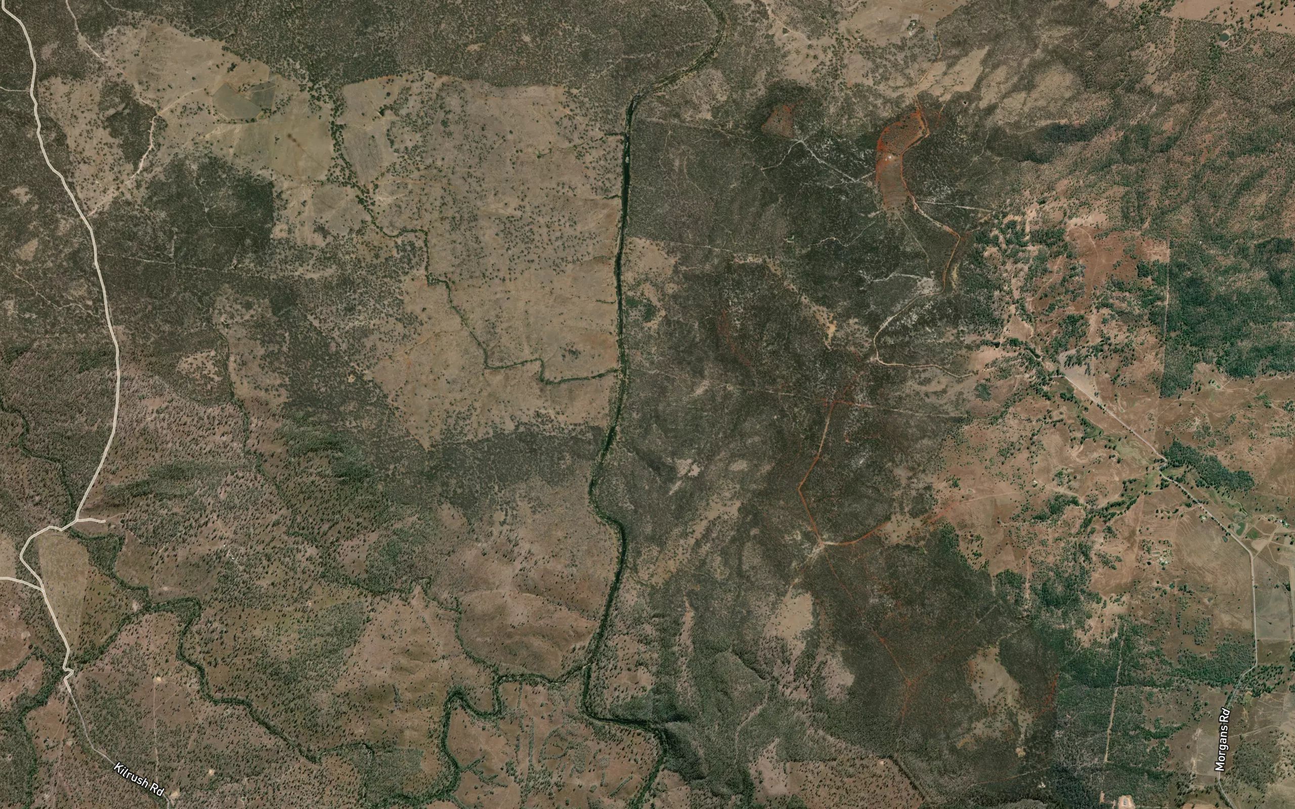 Coongaroo Creek
