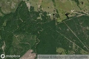 Little School Branch