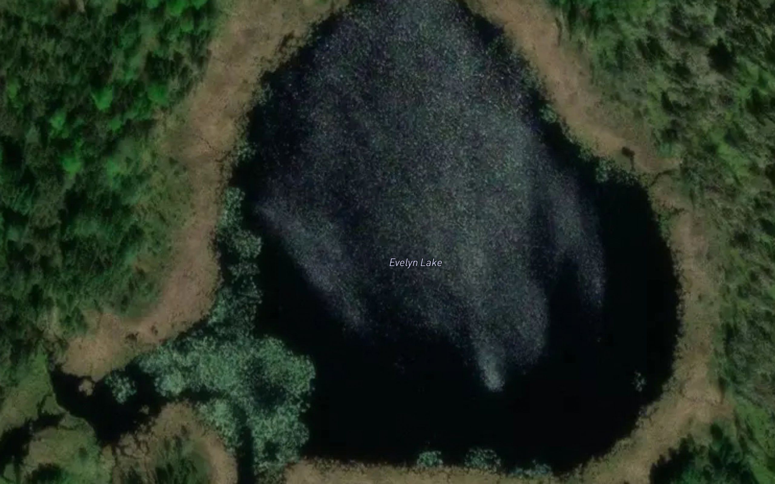 Evelyn Lake