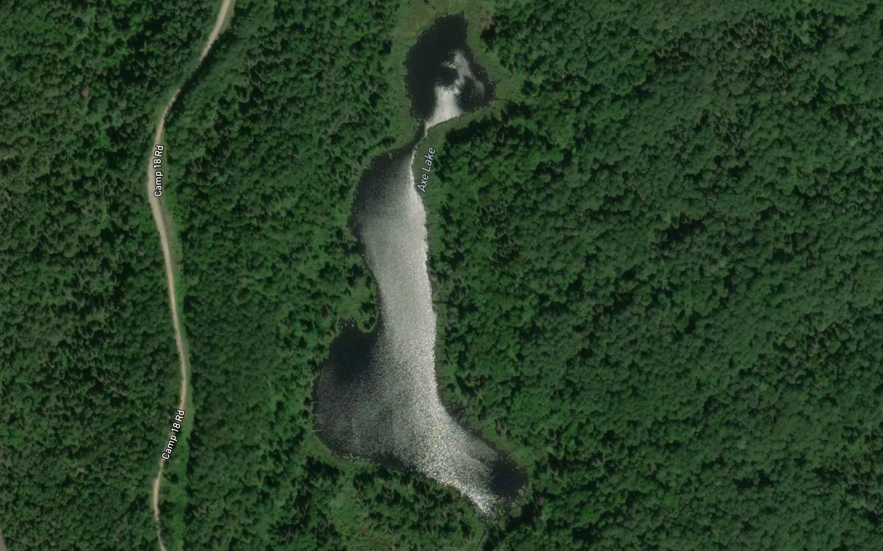 Satellite map of the Axe Lake