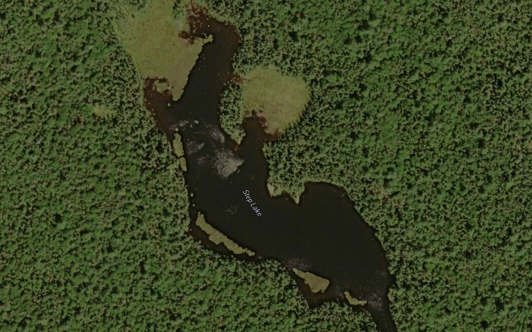 Satellite map of the Step Lake