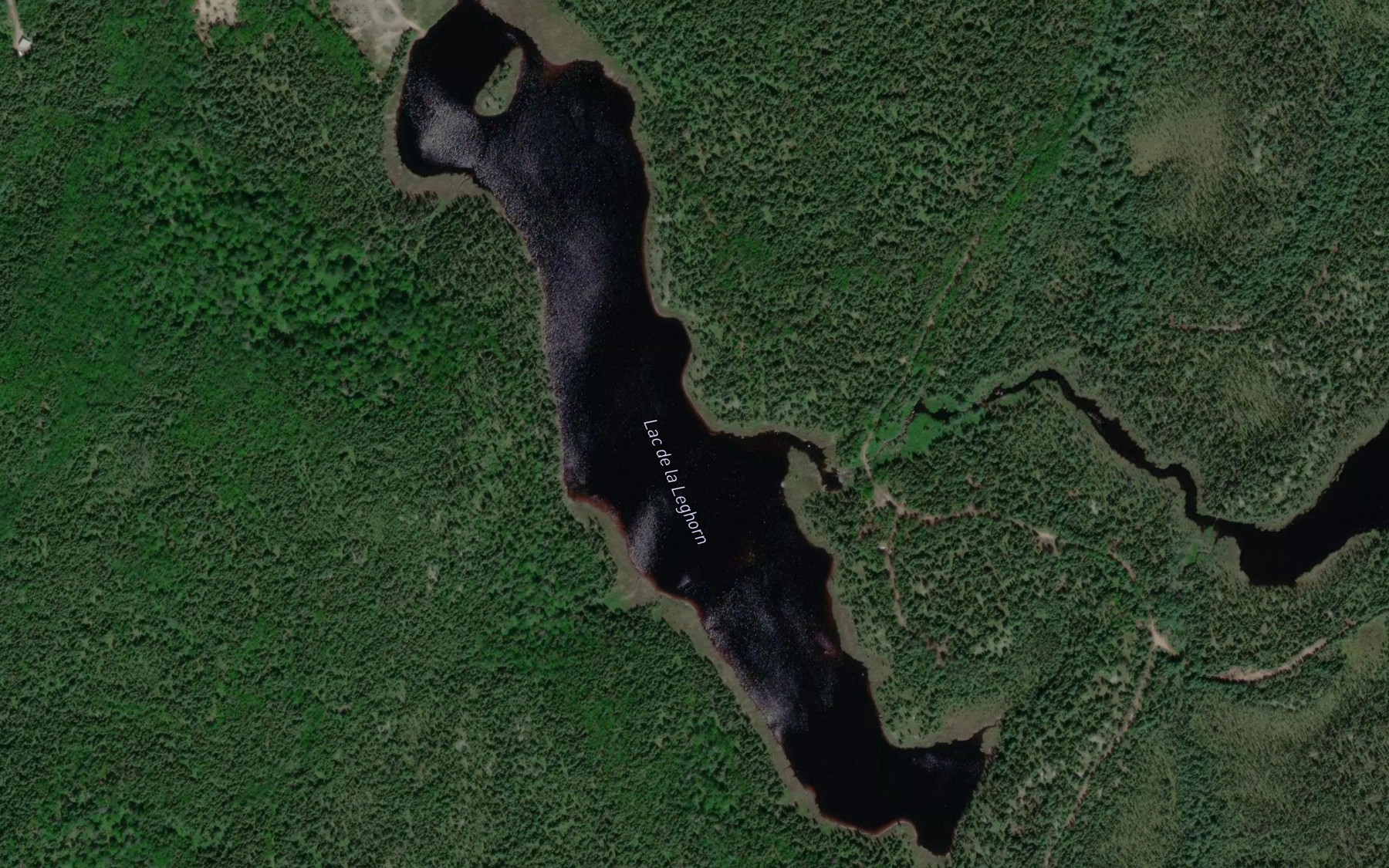 Satellite map of the Lac de la Leghorn