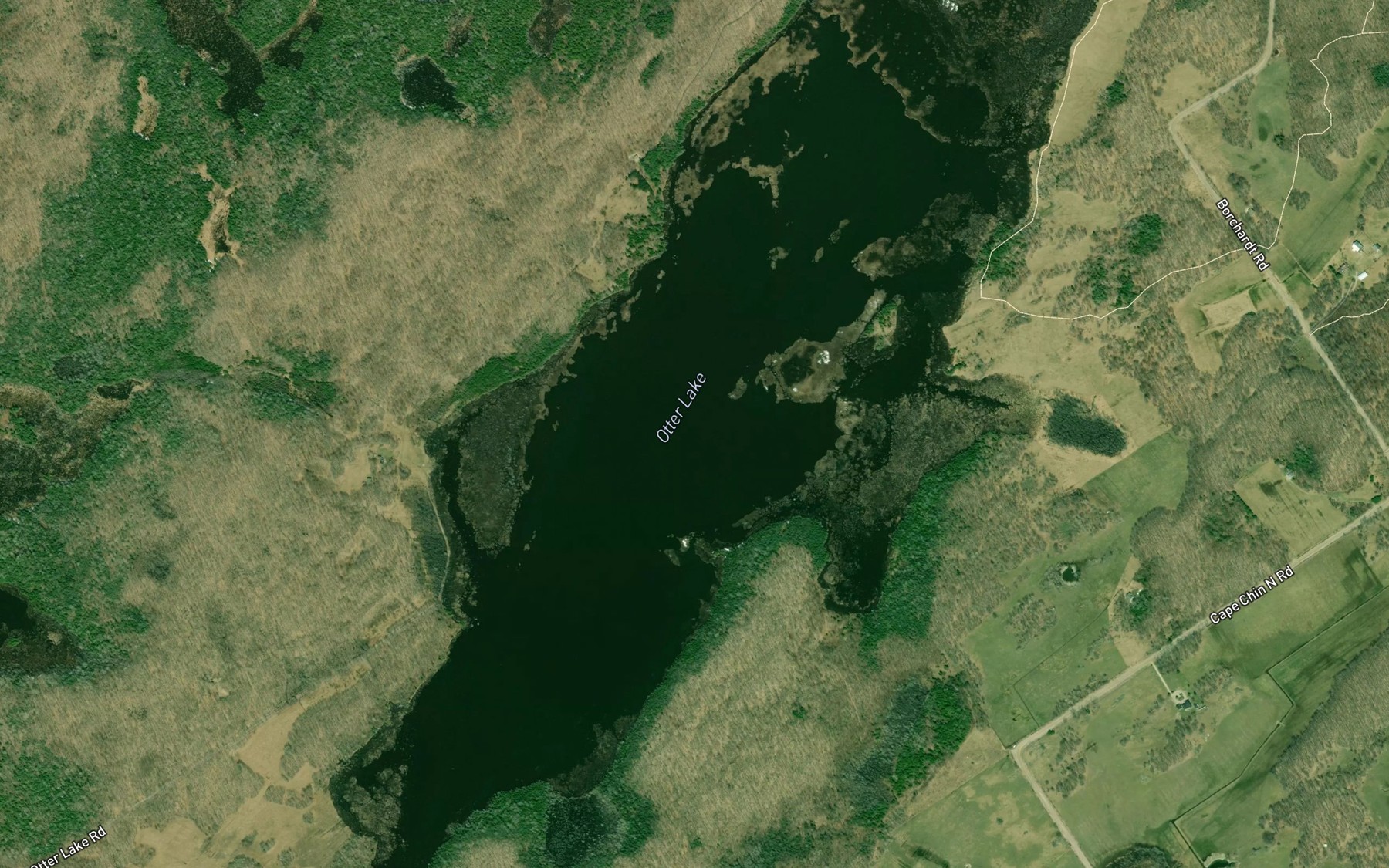 Satellite map of the Otter Lake