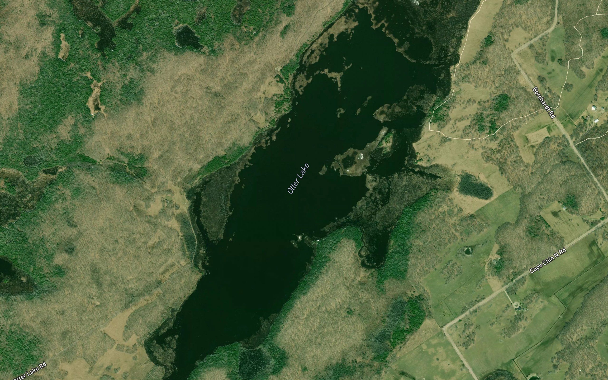 Otter Lake