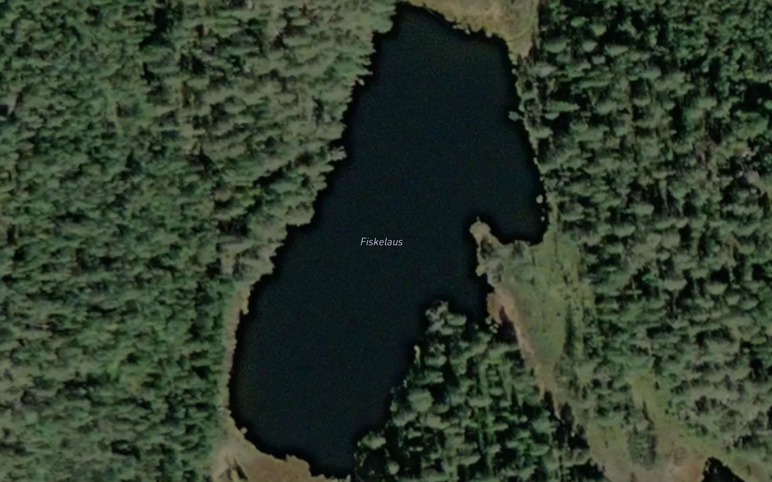 Fiskelaus