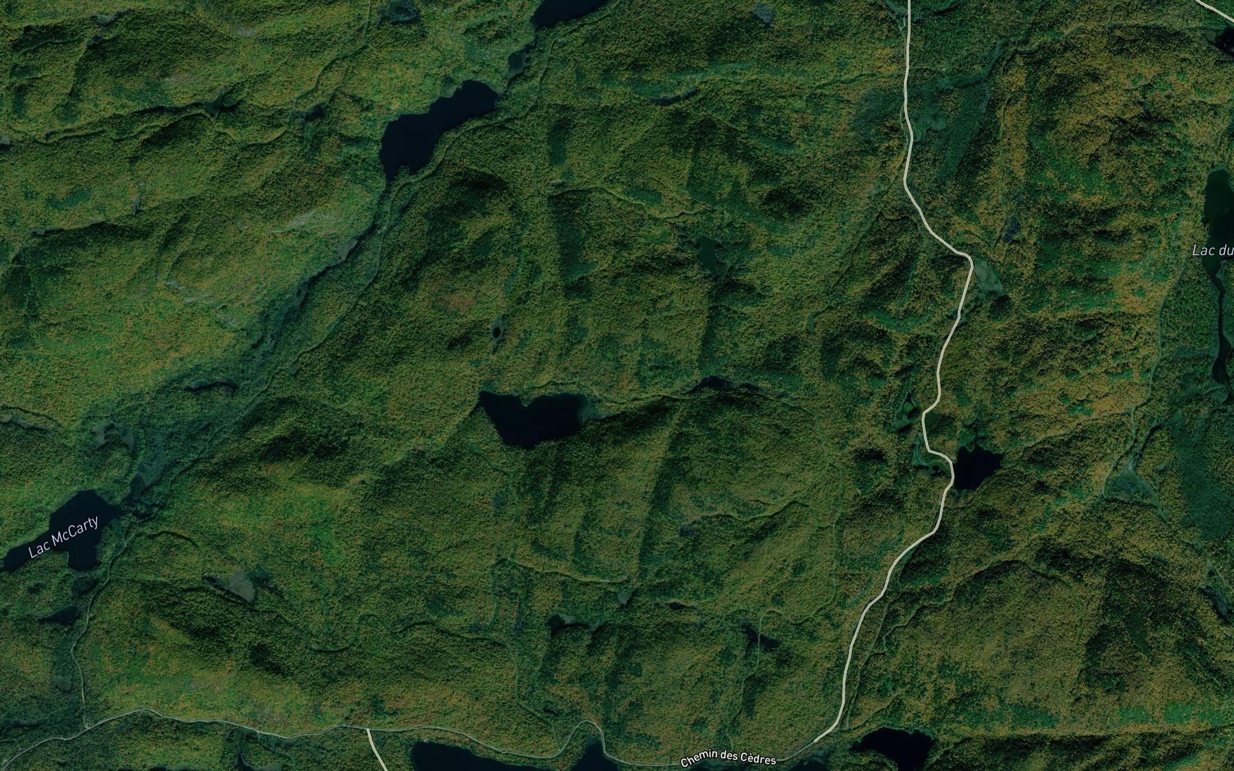 Satellite map of the Petit lac des Cedres