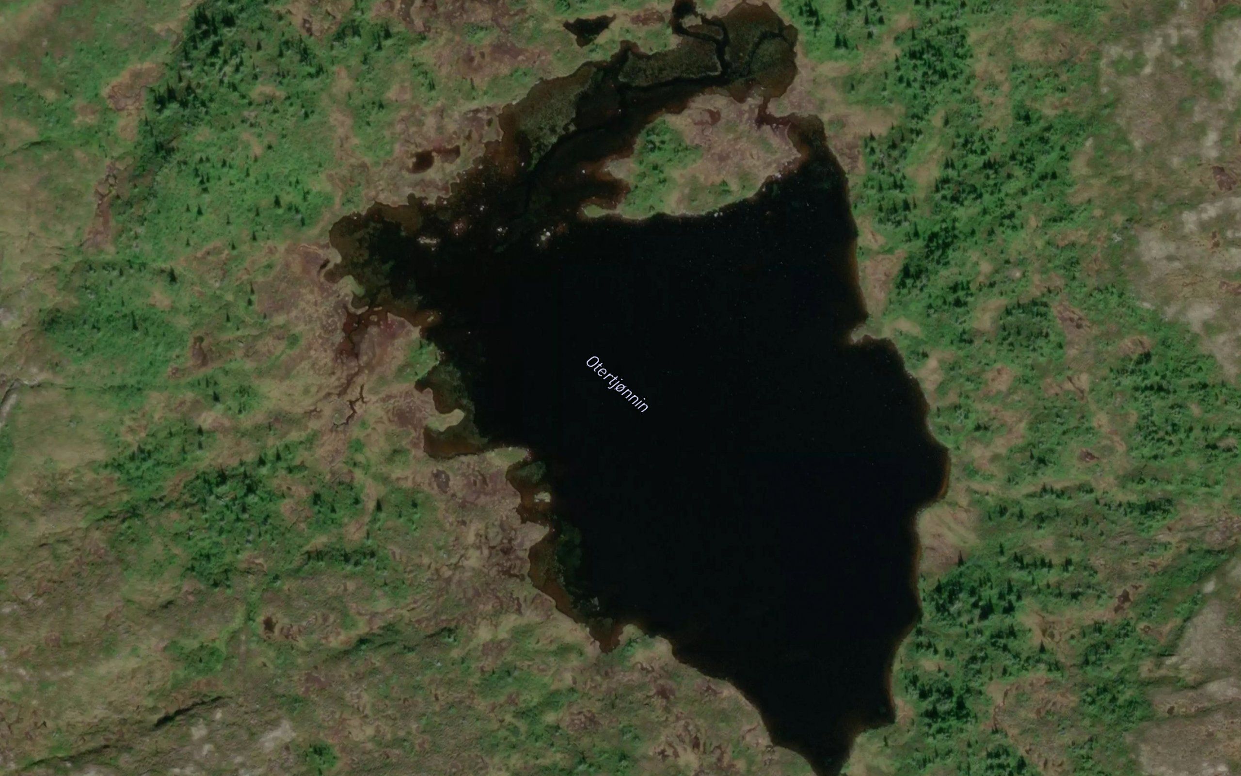 Otertjornin