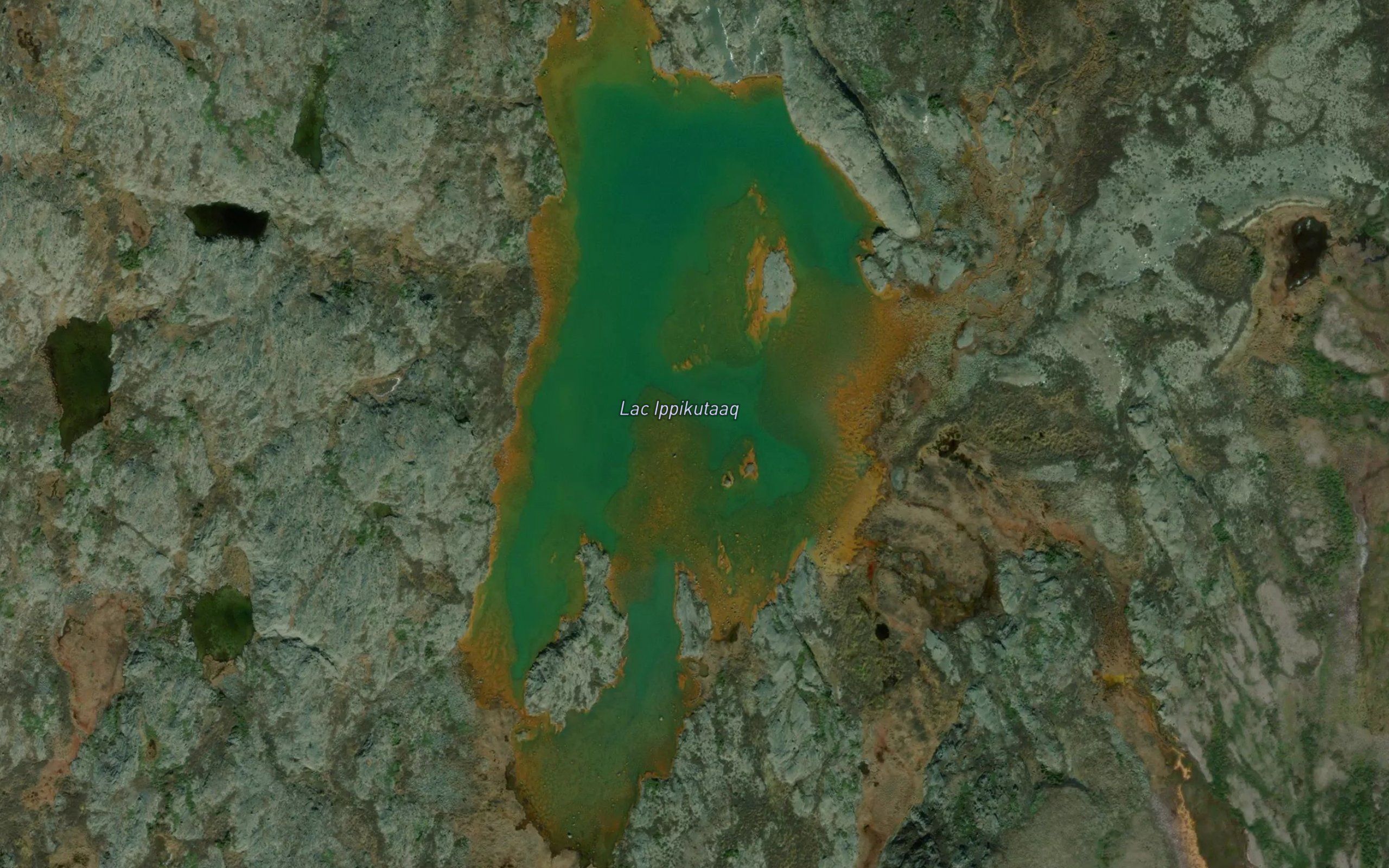 Lac Ippikutaaq