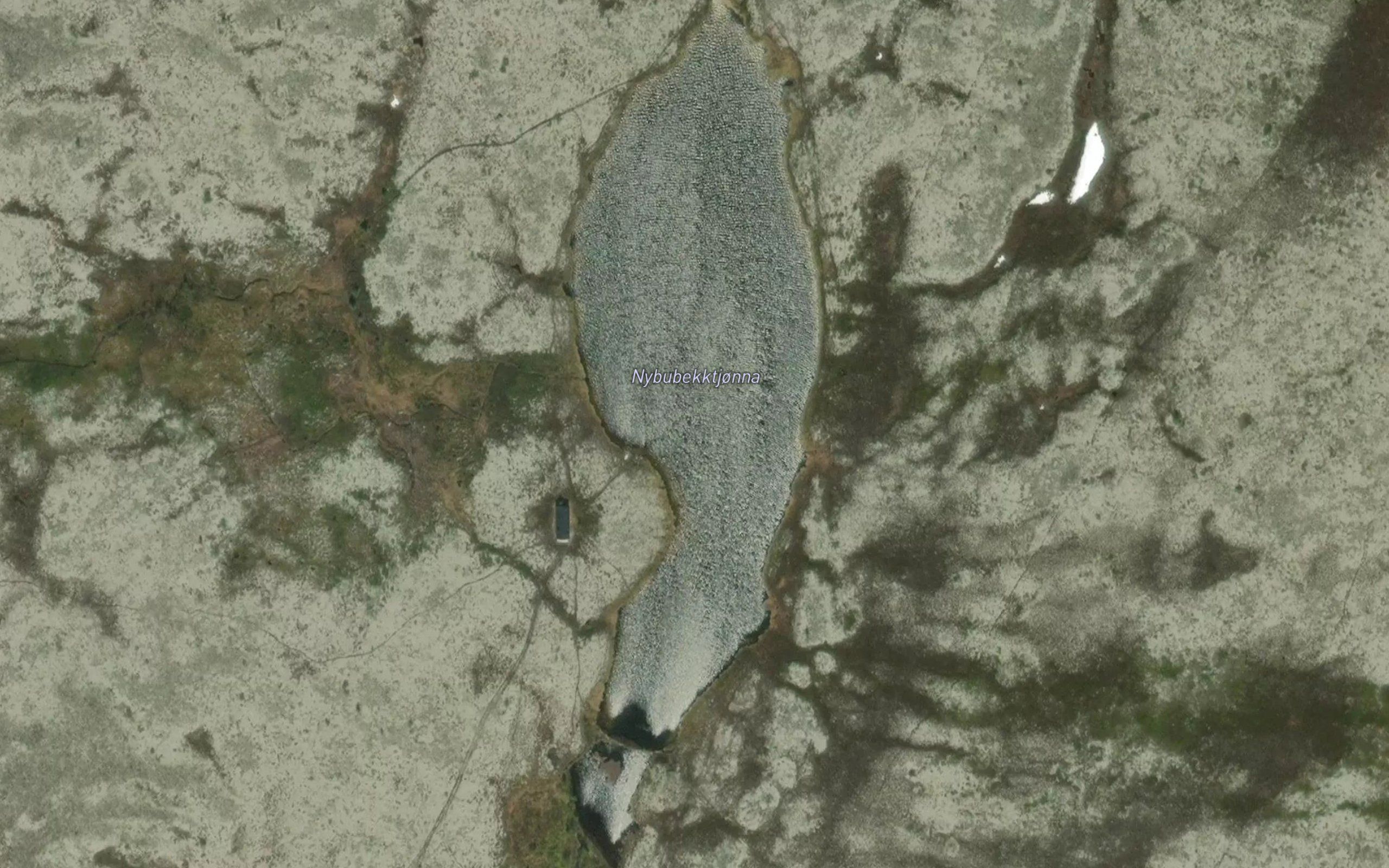 Nybubekktjorna