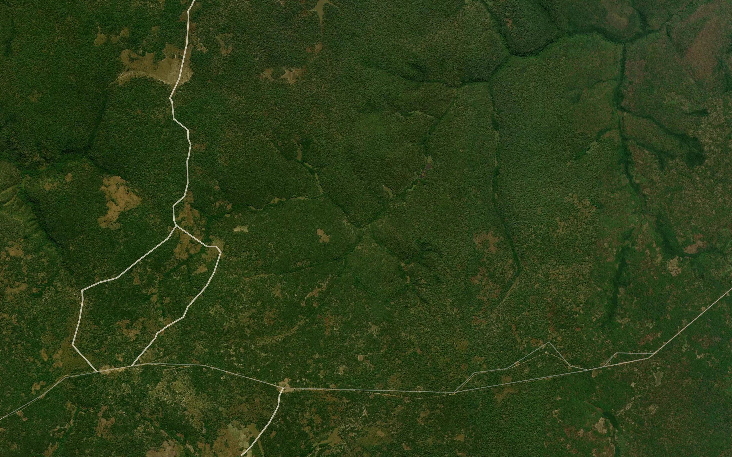 Cambala