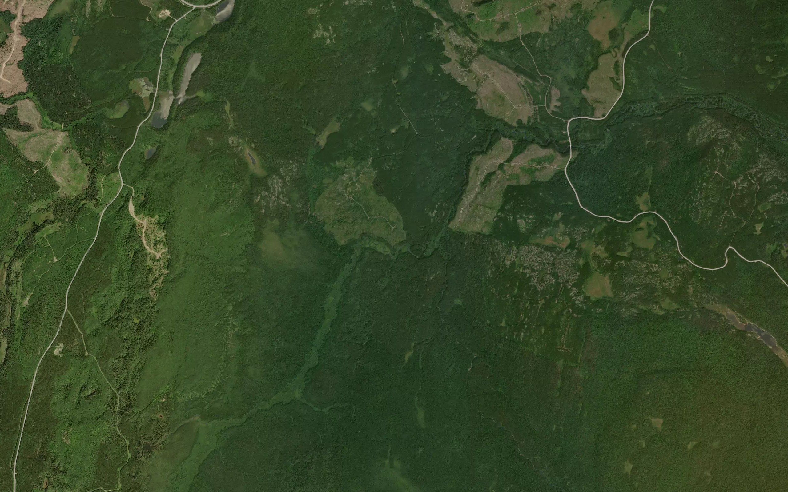 Wallis Creek