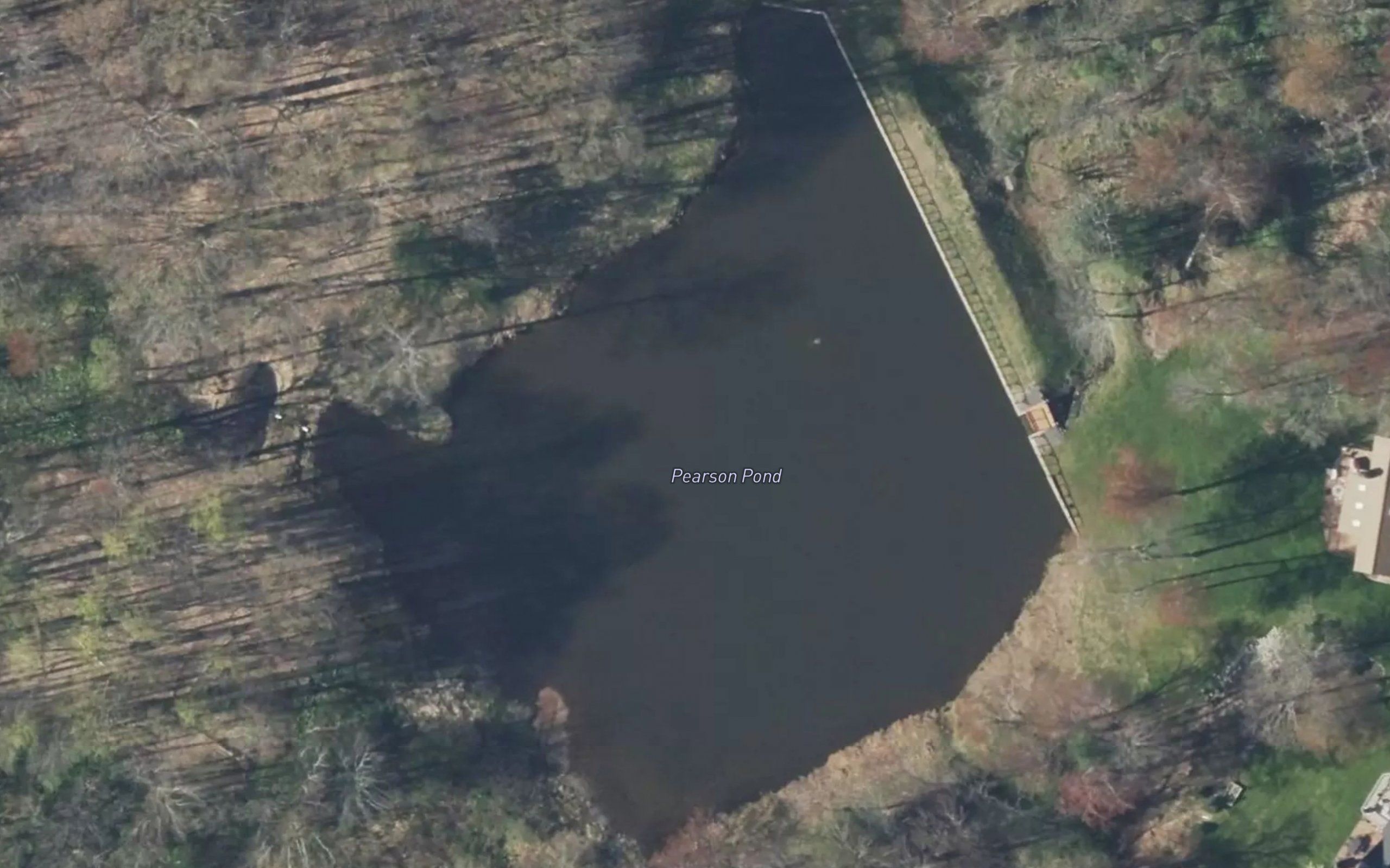 Pearson Pond