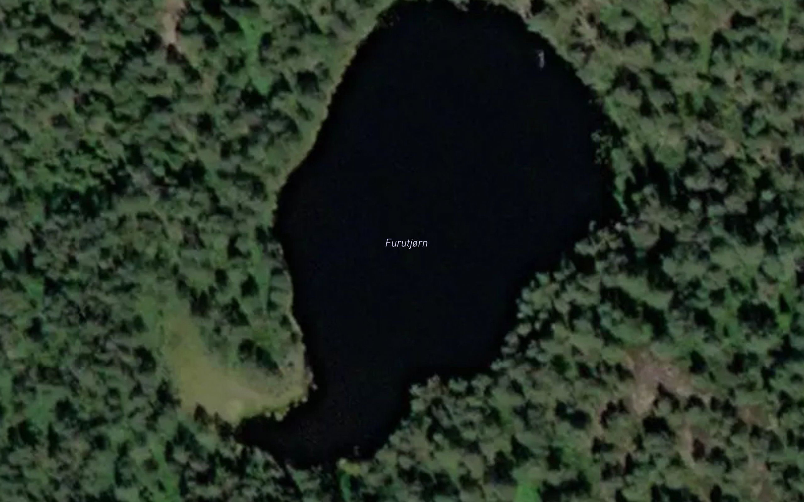 Furutjorn