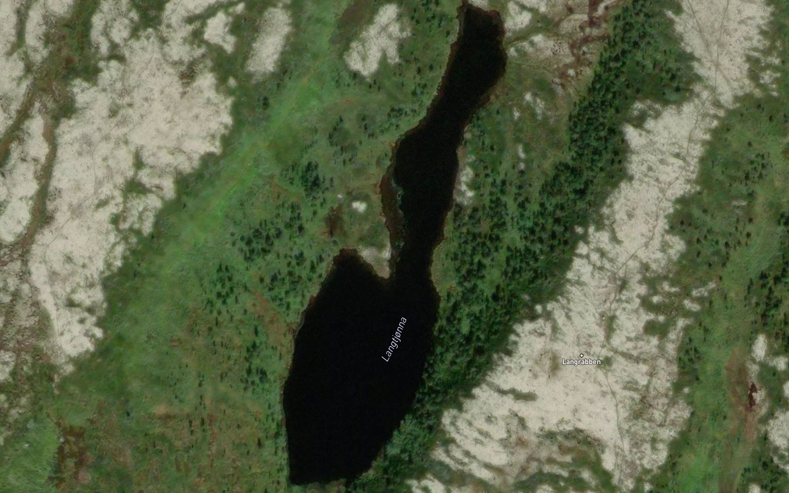 Langtjorna