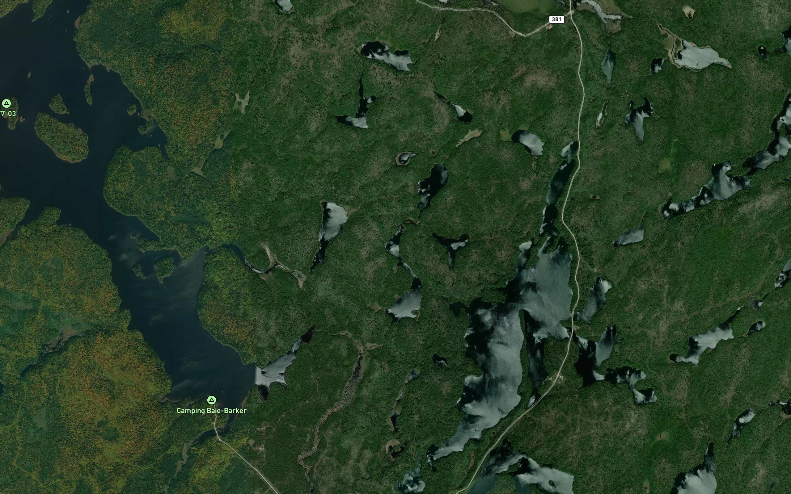 Lac Kentia