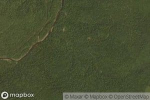 Lorraine Burke Spring