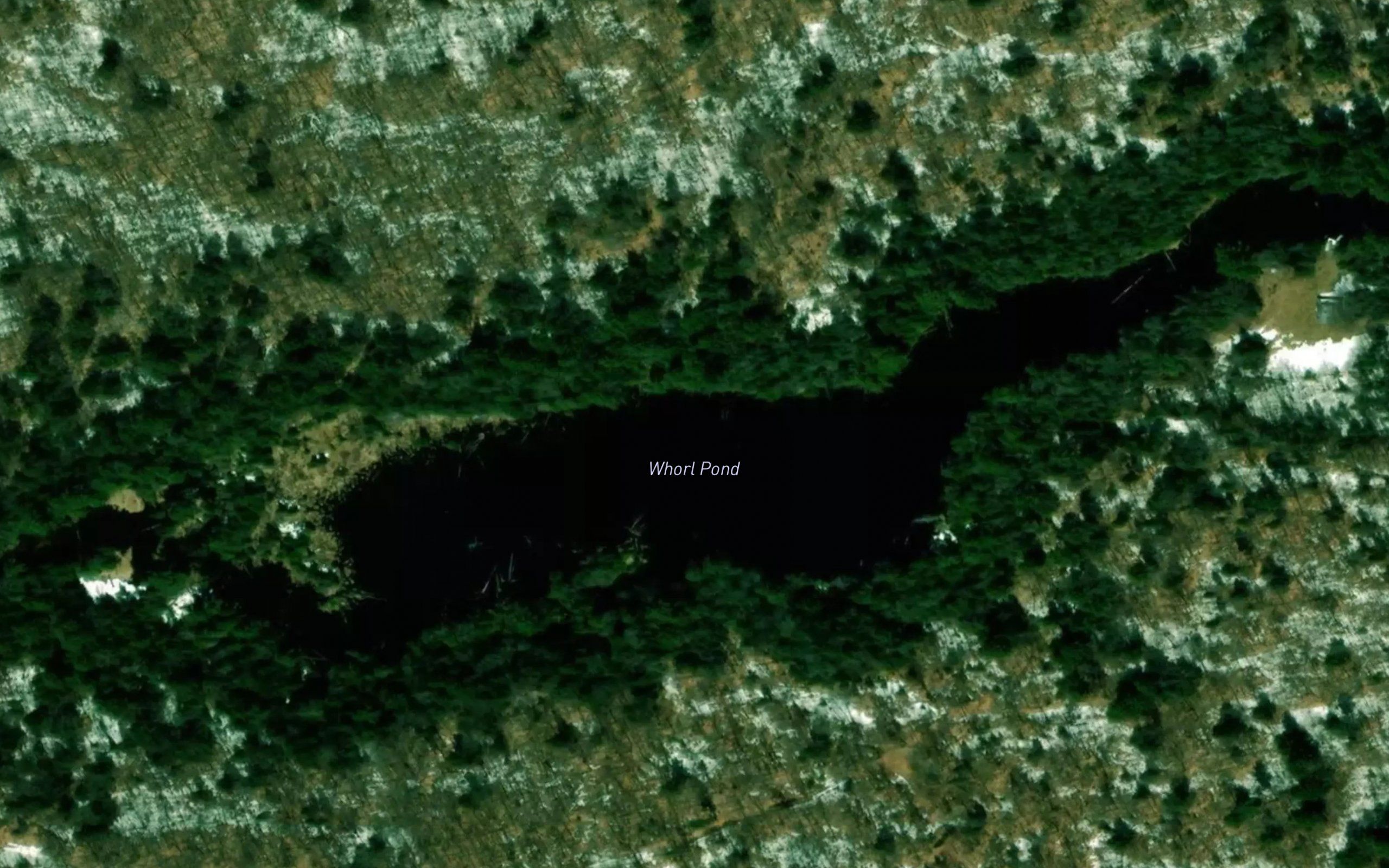 Whorl Pond