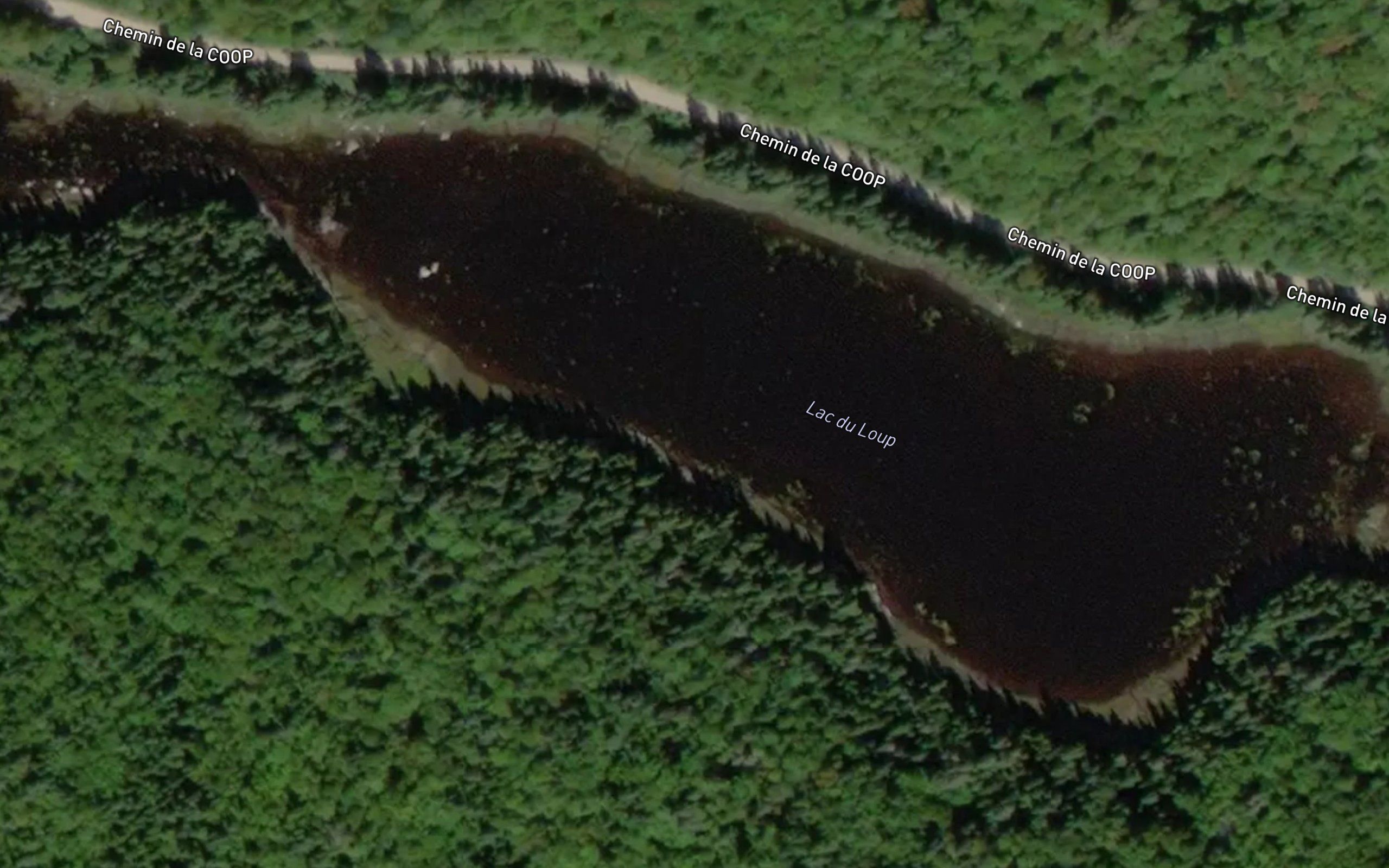 Lac du Loup