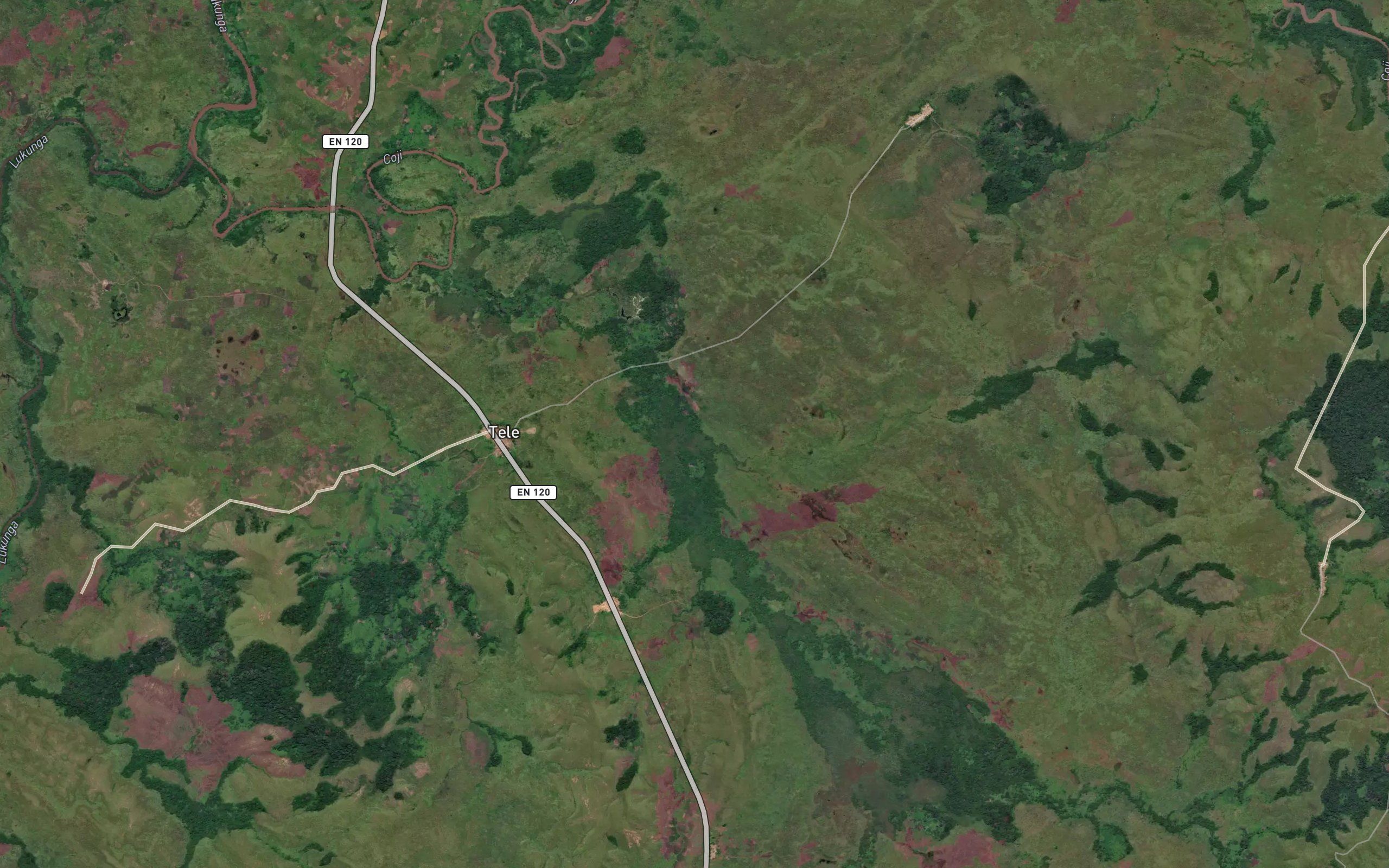 Sole