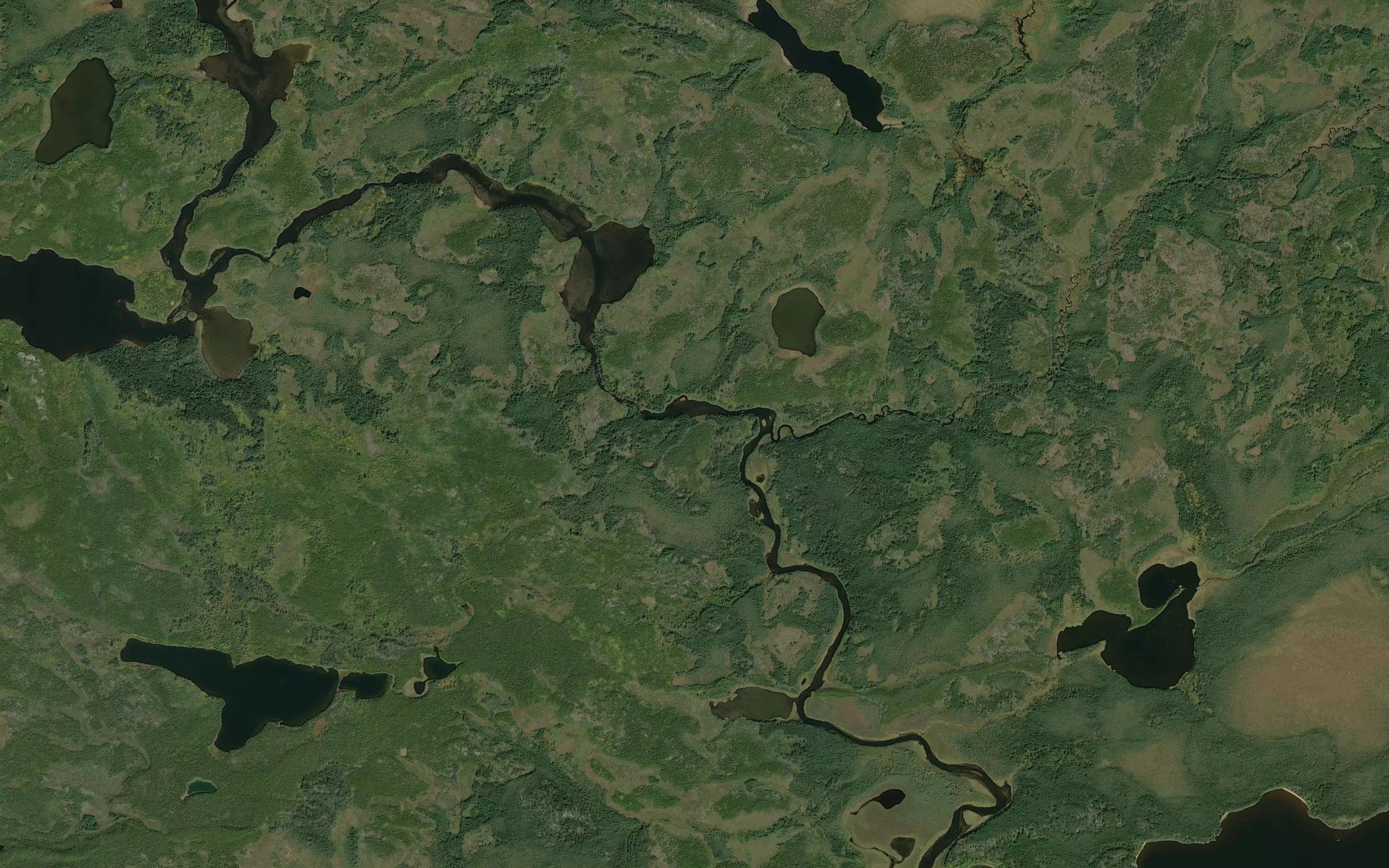 Lynxhead Rapids